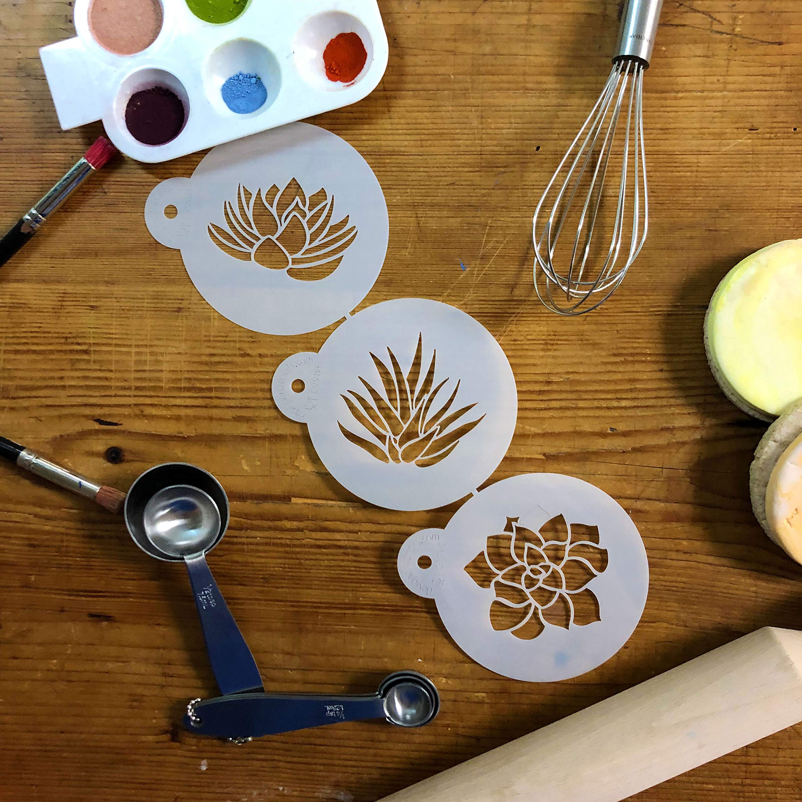 Succulent Plants Cookie Stencil Set C998 By Designer Stencils