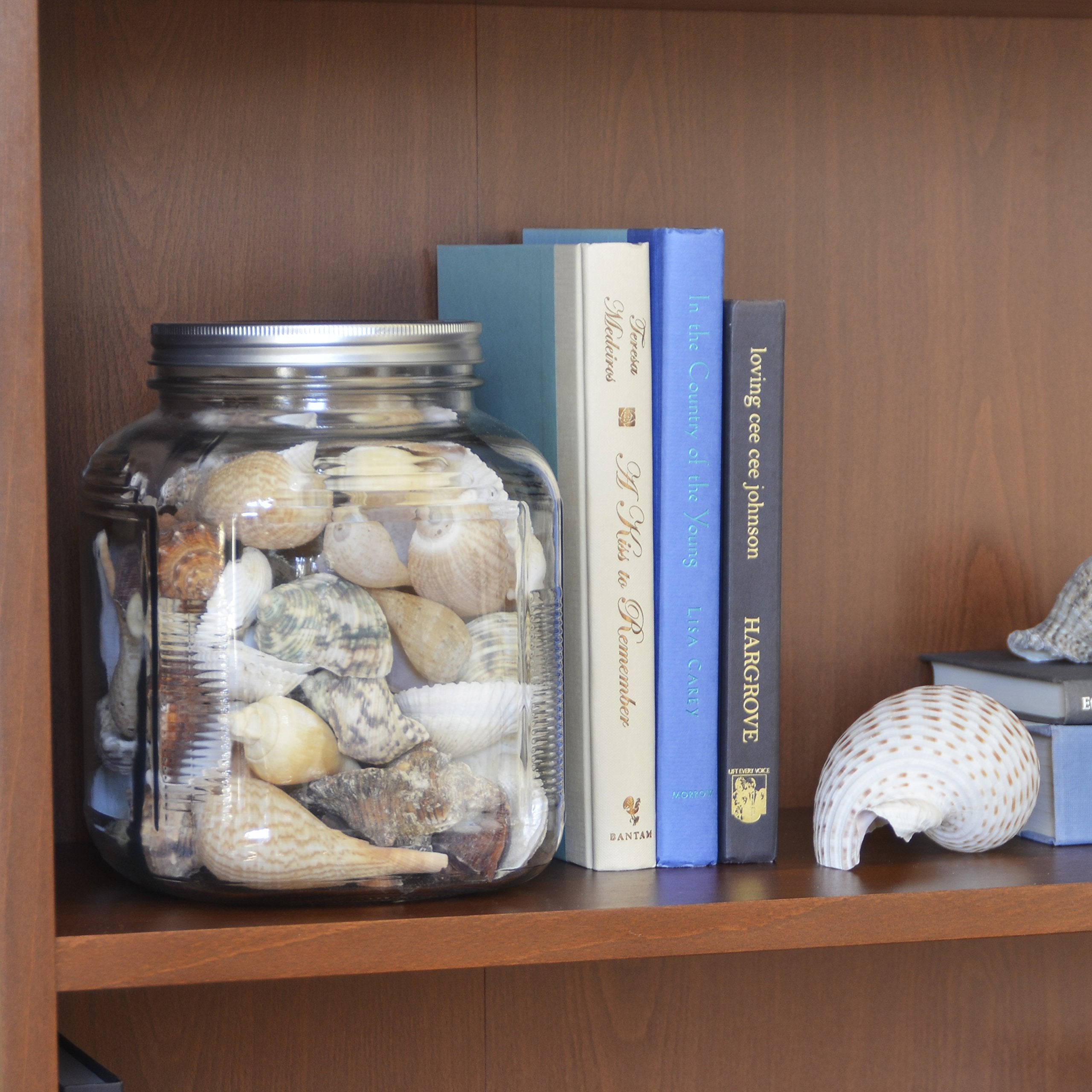 Anchor Hocking 1-Gallon Cracker Jar With Lid, Brushed Aluminum, Set Of 4