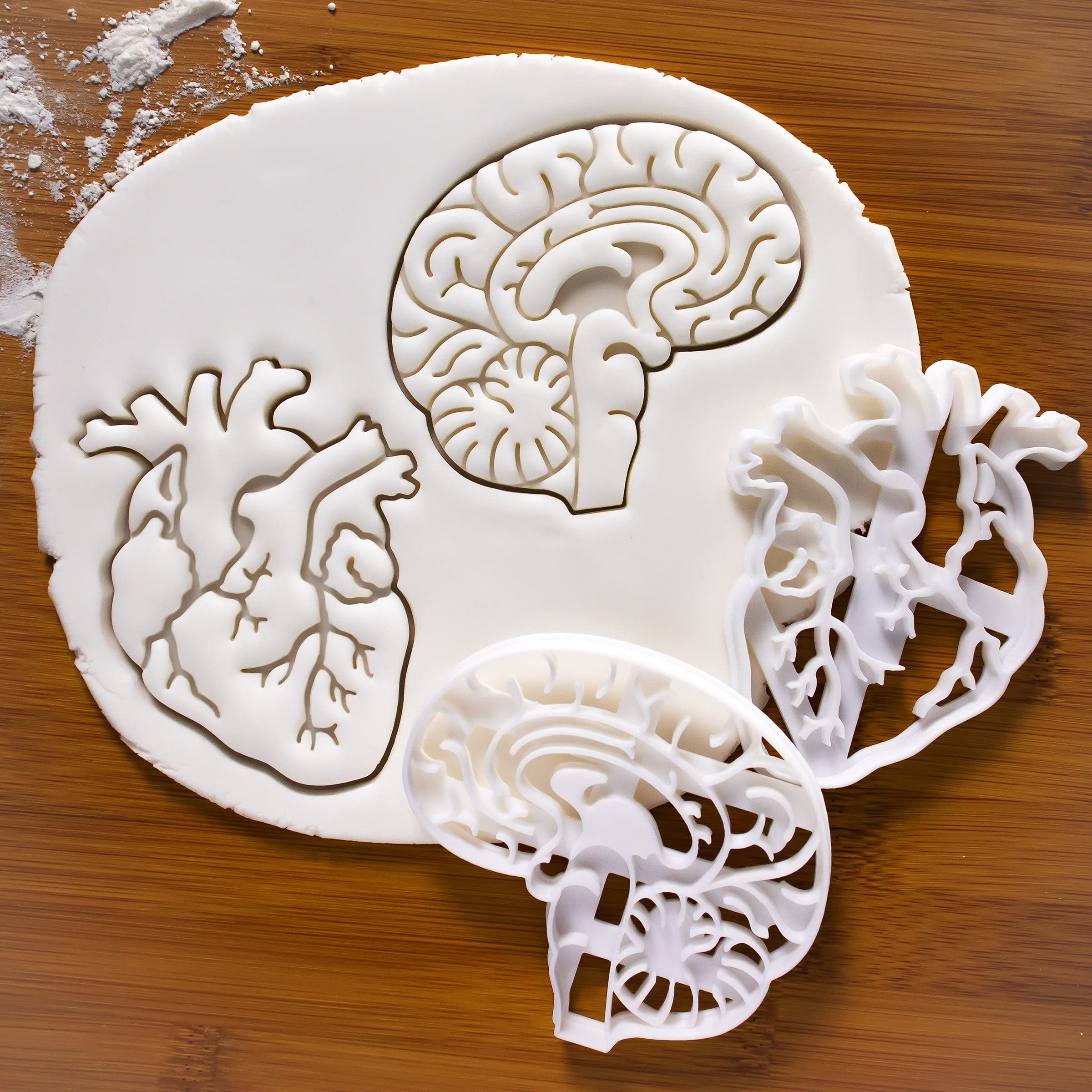 Set Of 2 Anatomical Heart And Brain Cookie Cutters (Designs: Anatomical Brain And Heart), 2 Pieces - Bakerlogy