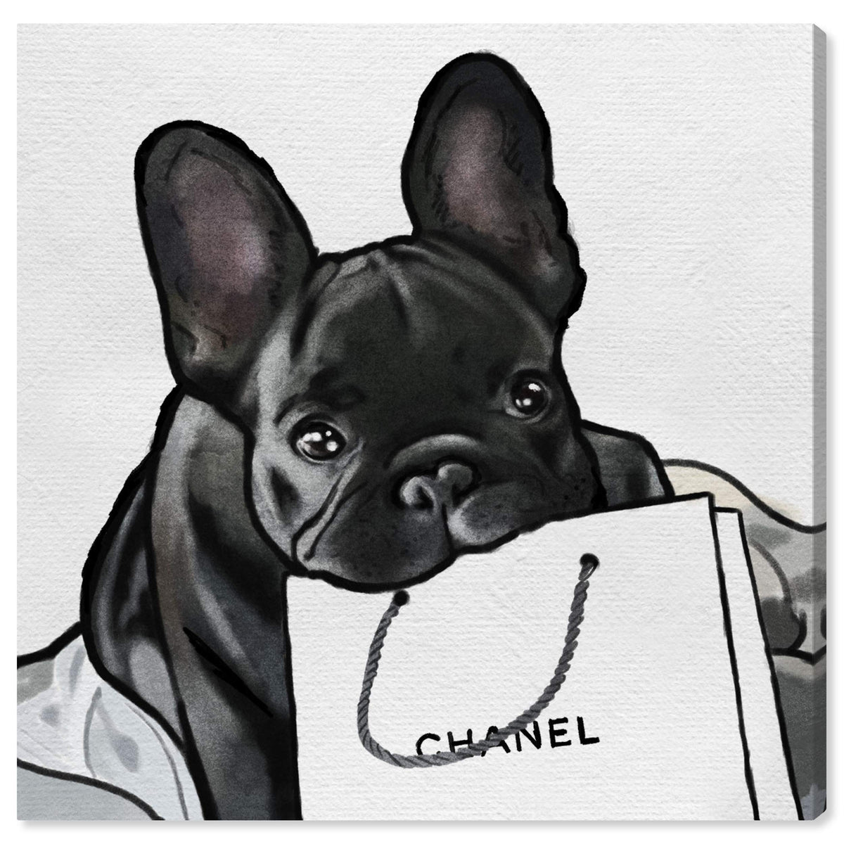 Oliver Gal 'French French French' The Dogs And Puppies Wall Art Decor Collection Modern Premium Canvas Art Print, Black/White, 1