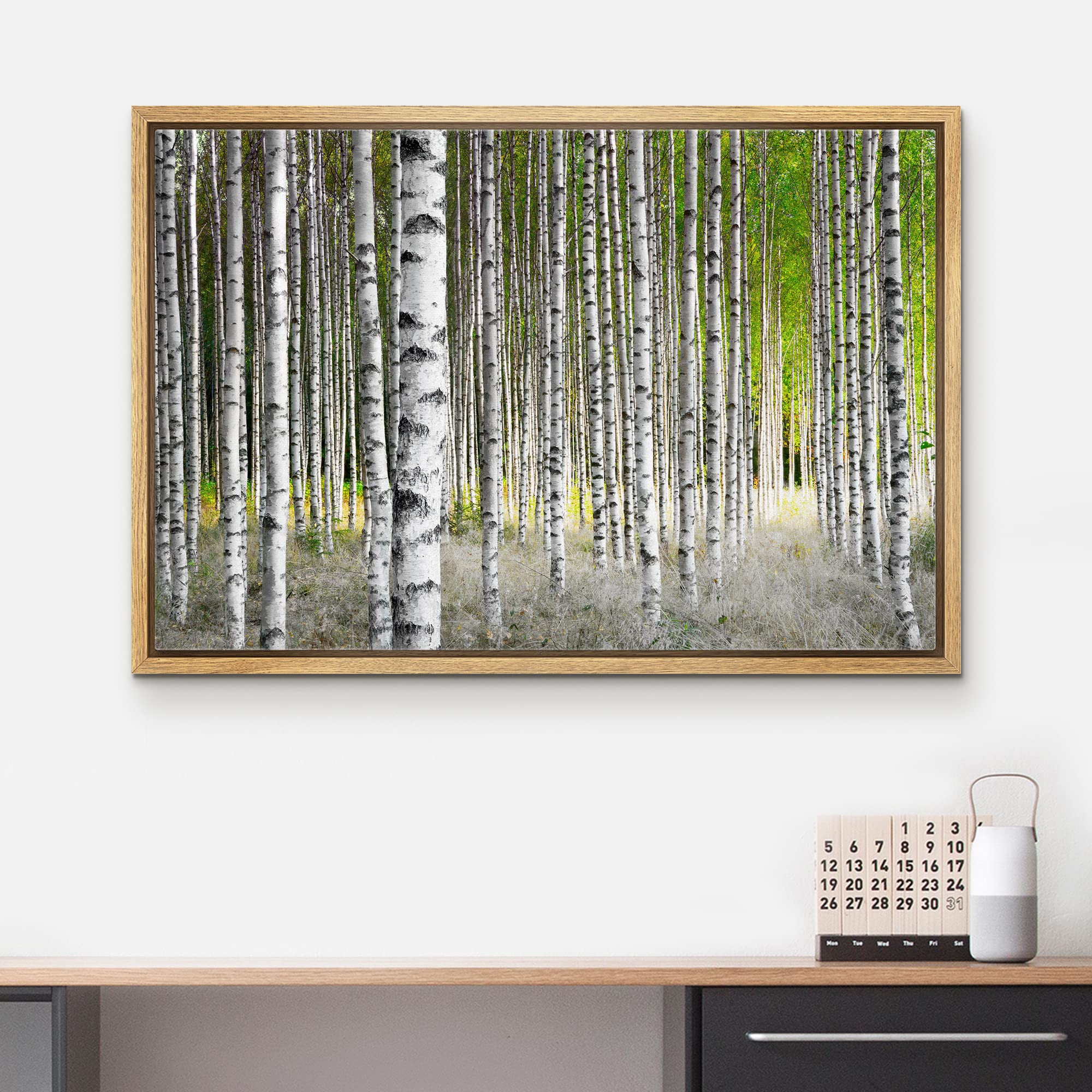 wall26 Framed Canvas Print Wall Art White Birch Trees in Green Forest Nature Wilderness Photography Modern Art Rustic Scenic Colorful Multicolor for Living Room  Bedroom  Office - 16''x24'' Natural