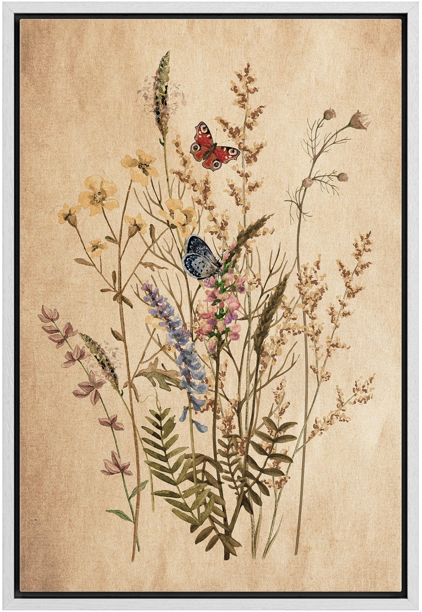 Wall26 Framed Canvas Print Wall Art Vintage Garden Wildflower Still Life Nature Wilderness Illustrations Modern Art Botanical Fl