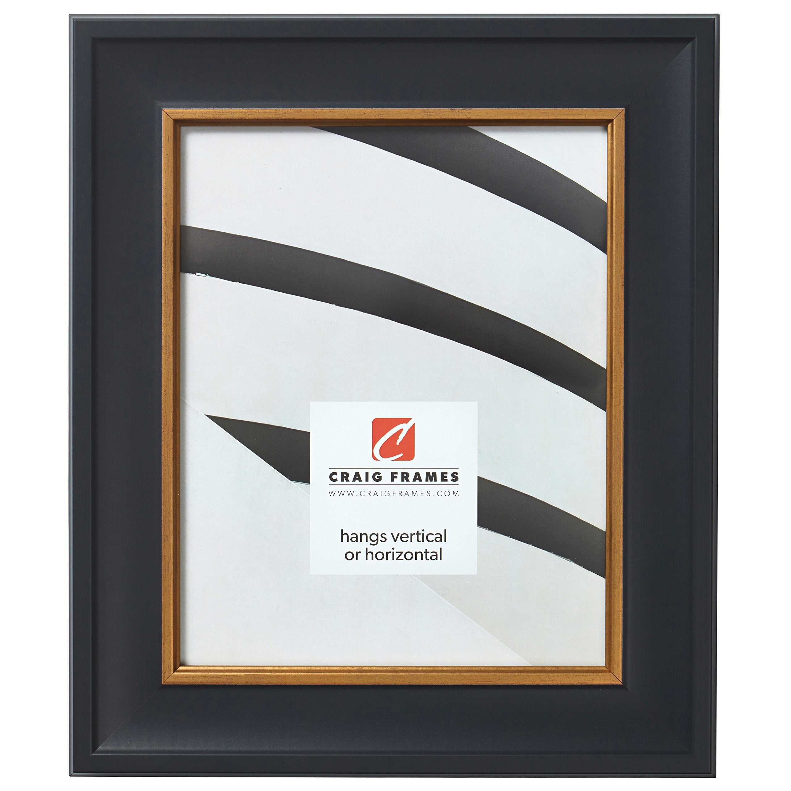 Craig Frames Martin Picture Frame, 16 x 20 Inch, Black Velvet with Gold