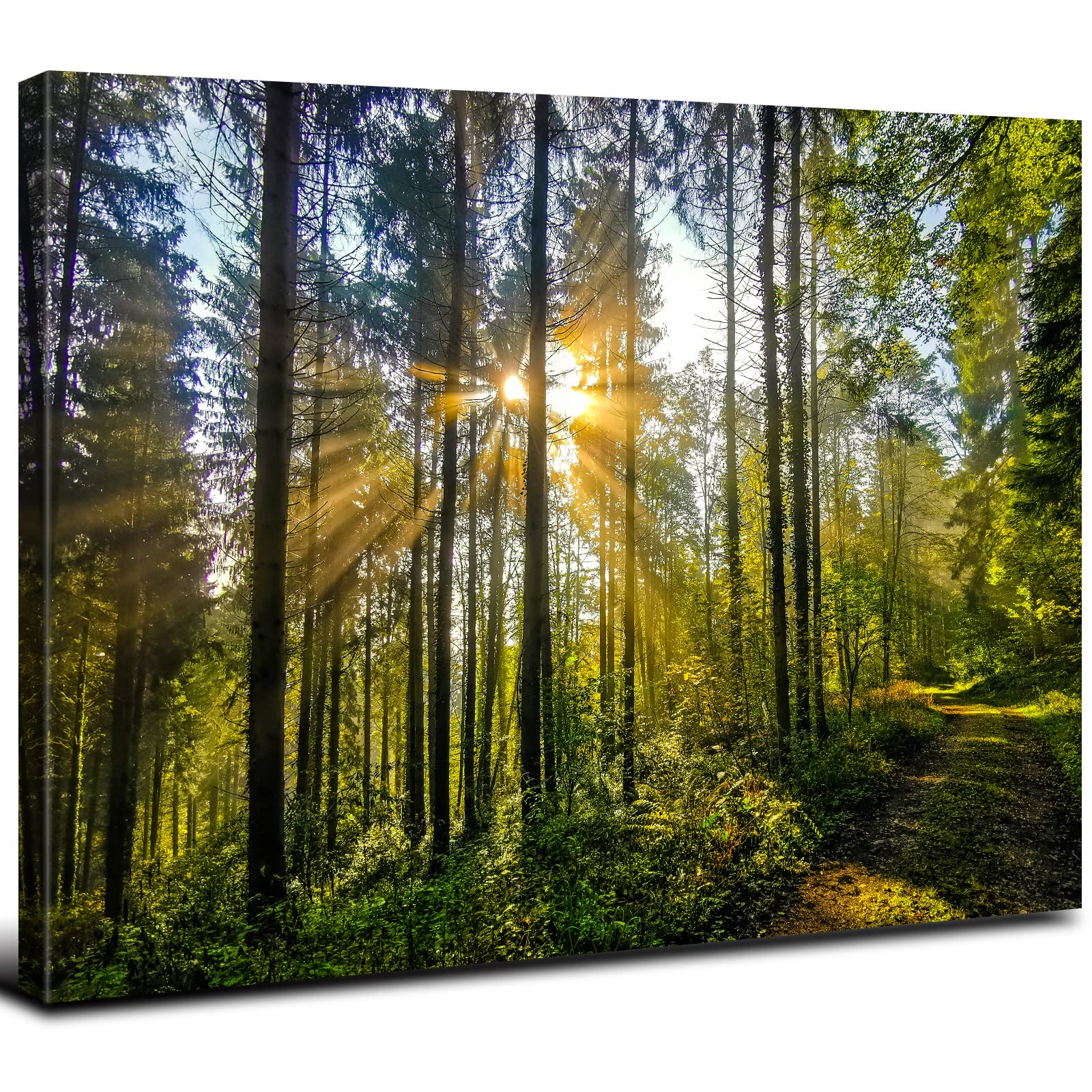 Forest Wall Art Living Room Wall Decor Sunset Mountain Pictures Nature Green Trees Landscape Canvas Prints Photo Tropical Woodla