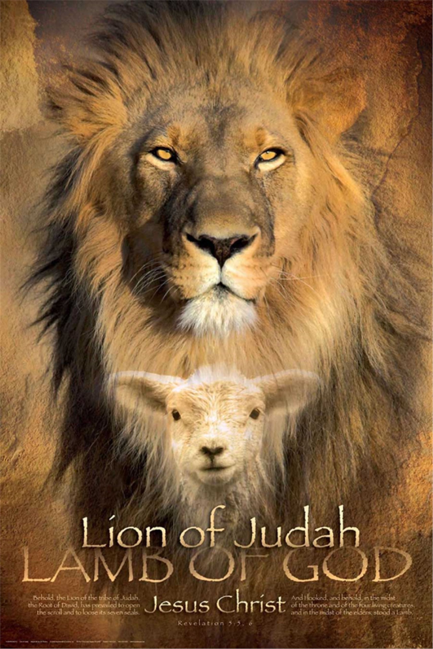 24X36 Lion Of Judah, Black Art Print Poster Framed With 1.5'' Flat Black Wood Composite Mdf Frame #24X36Loj1.5