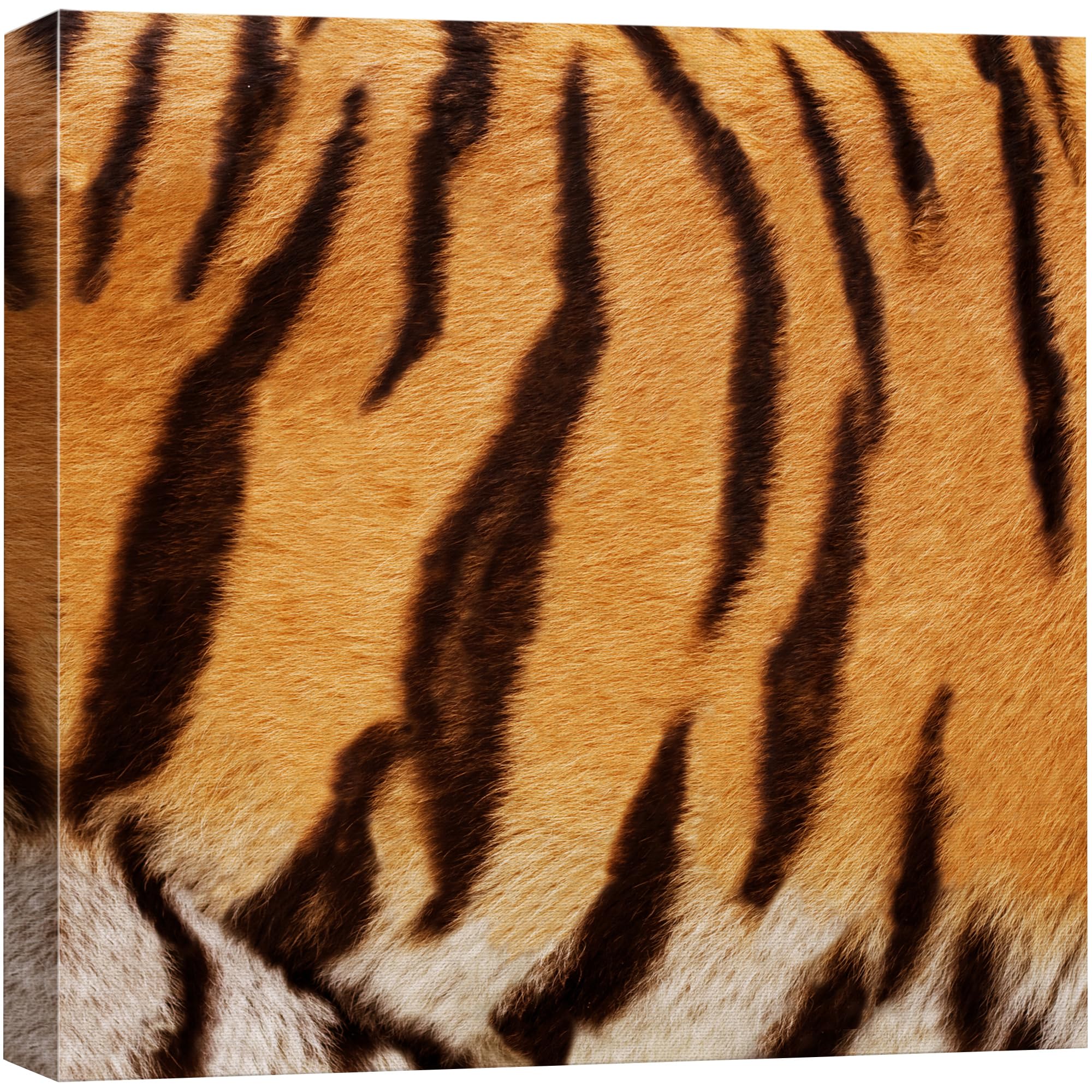 Wall26 - Canvas Prints Wall Art - Canvas Prints Wall Art - Tiger Fur/Skin Texture - 16''X16''