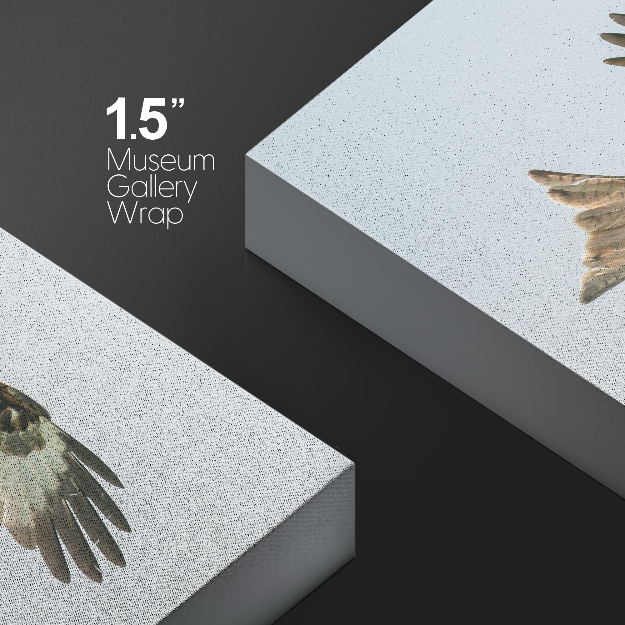 Wall26 Canvas Print Wall Art Majestic Eagle Mid-Flight Animals Photography Realism Rustic Scenic Landscape Wilderness Zen Colorf