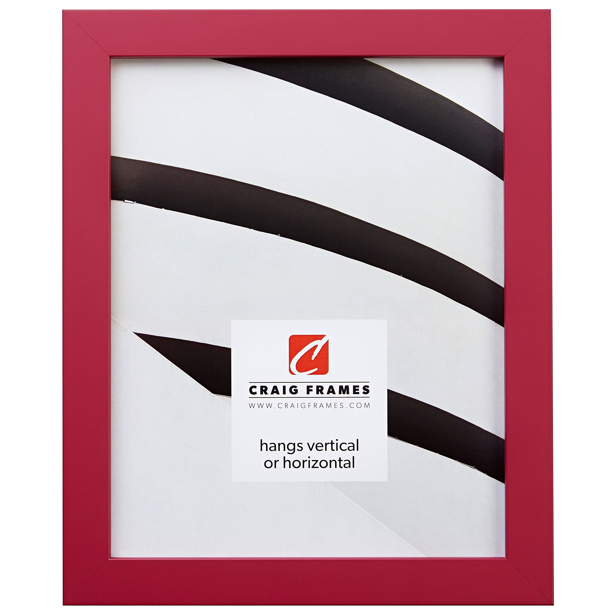 Craig Frames Confetti, Modern Pink Picture Frame, 4 x 10 Inch