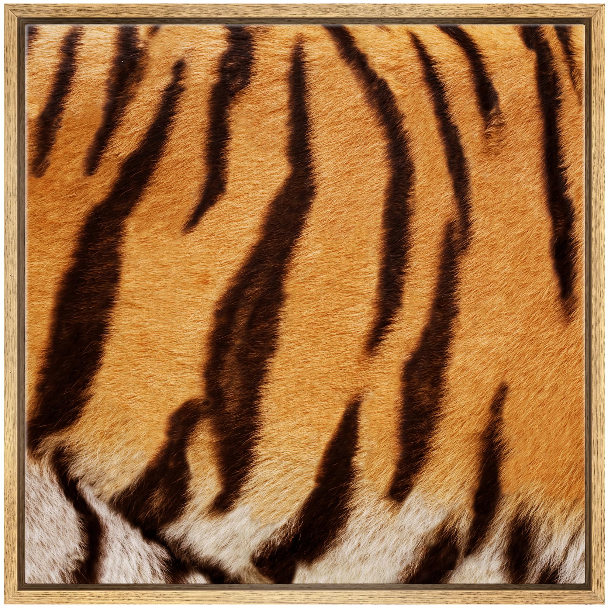Wall26 Framed Framed Canvas Prints Wall Art Framed Framed Canvas Prints Wall Art - Tiger Fur/Skin Texture - 16''X16'' Natural