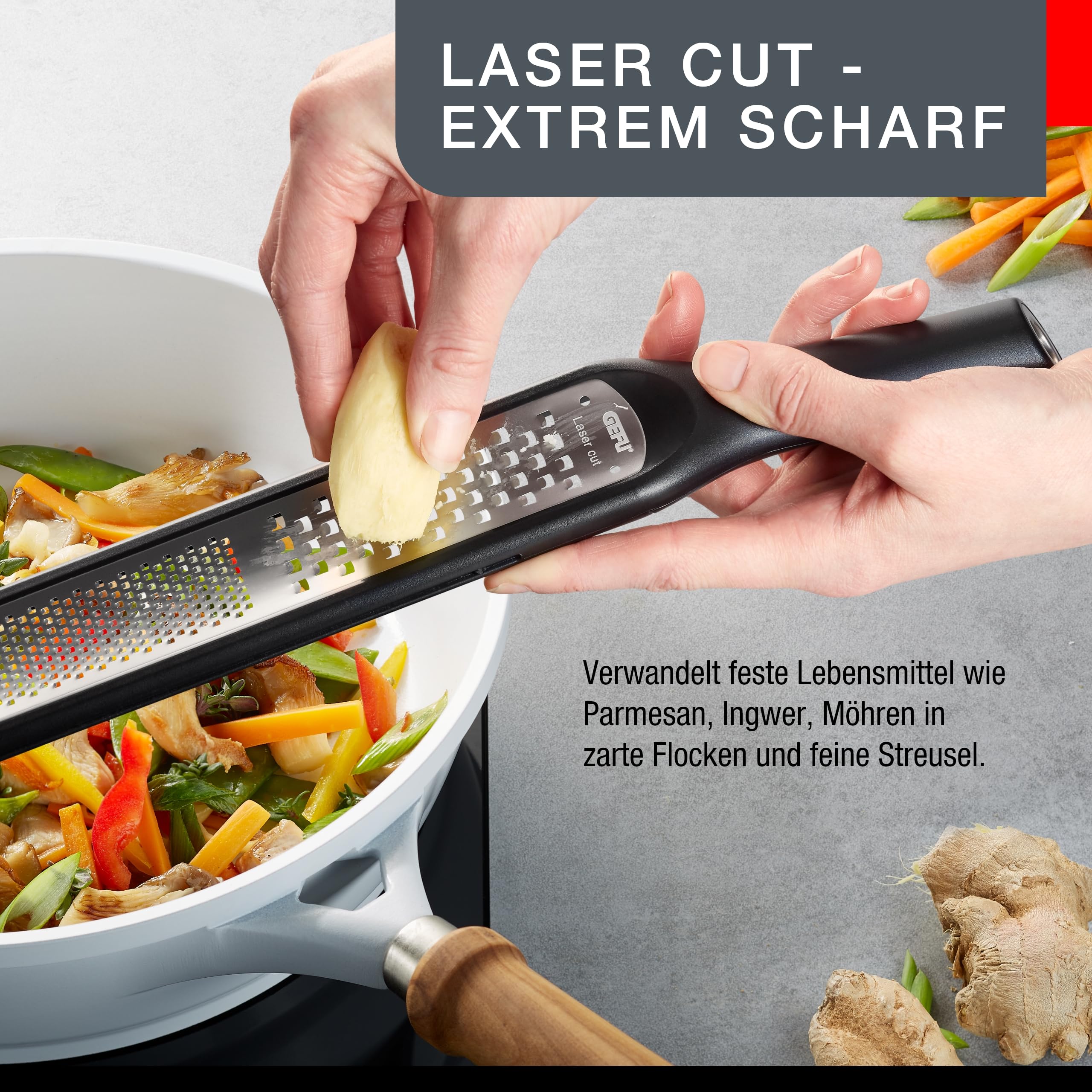 Gefu Multi-Purpose Grater