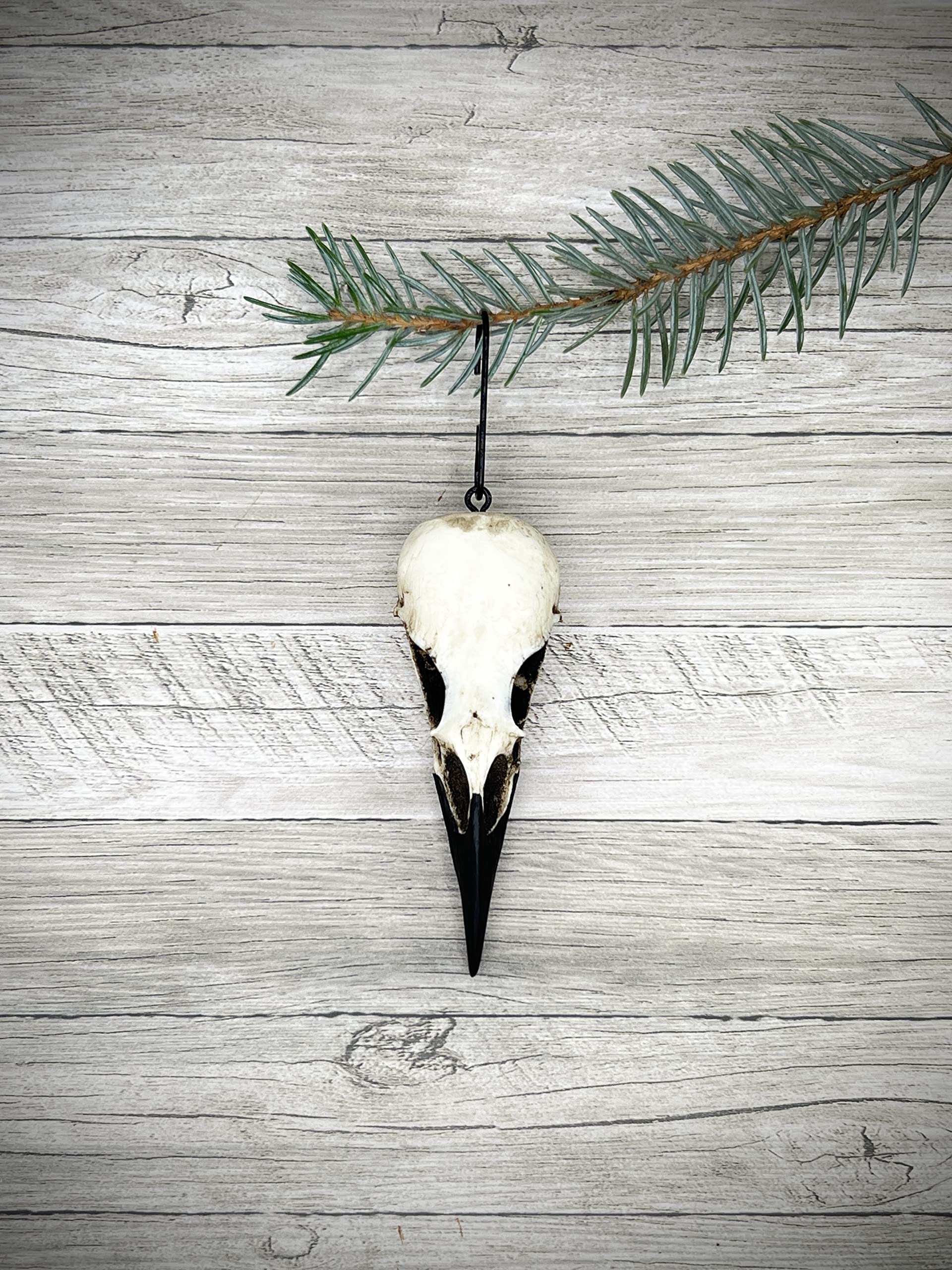 Gothic Raven Skull Christmas Tree Ornament, Gifts for Goths, Yule Pagan