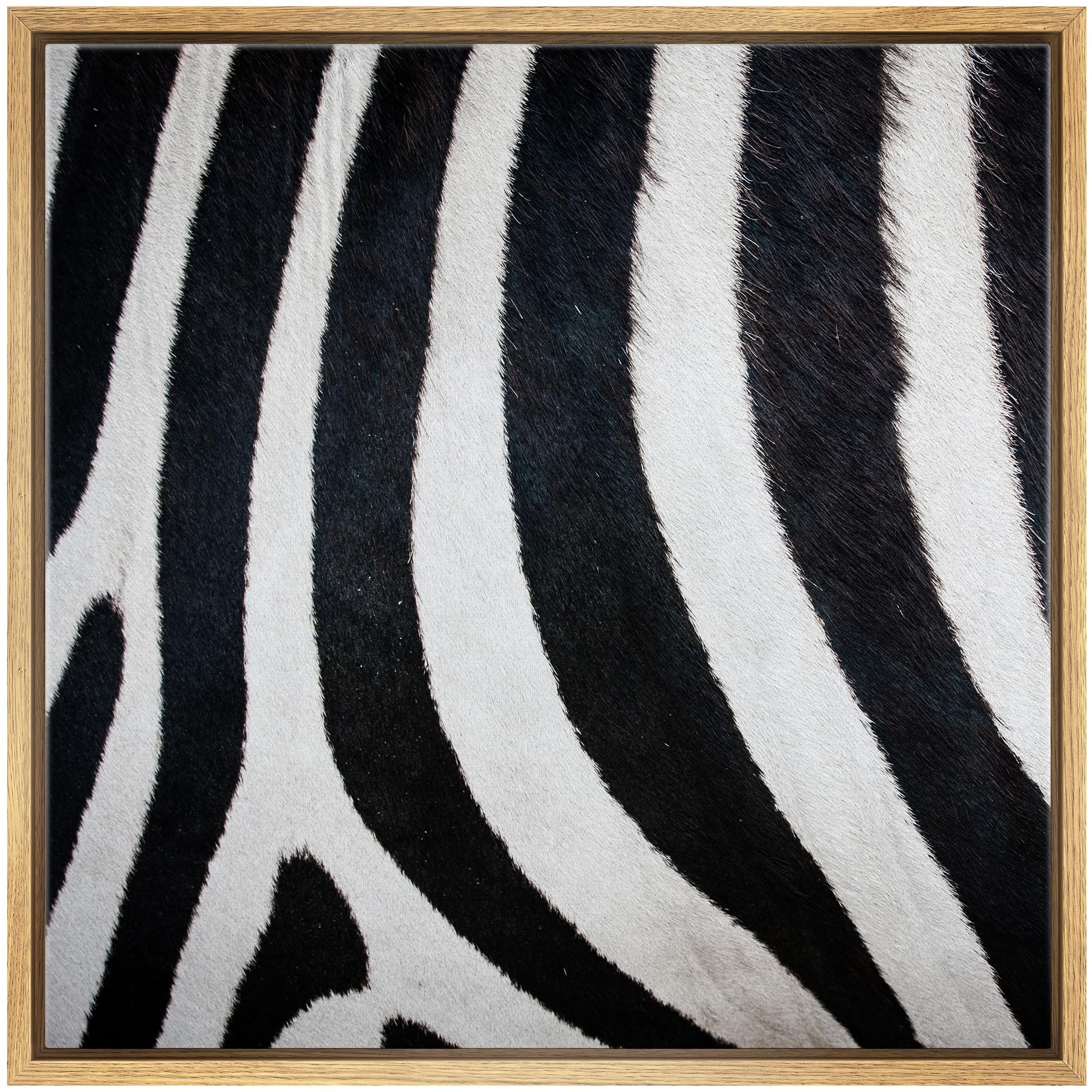 Wall26 Framed Framed Canvas Prints Wall Art Framed Framed Canvas Prints Wall Art - Zebra Fur/Skin Texture - 16''X16'' Natural
