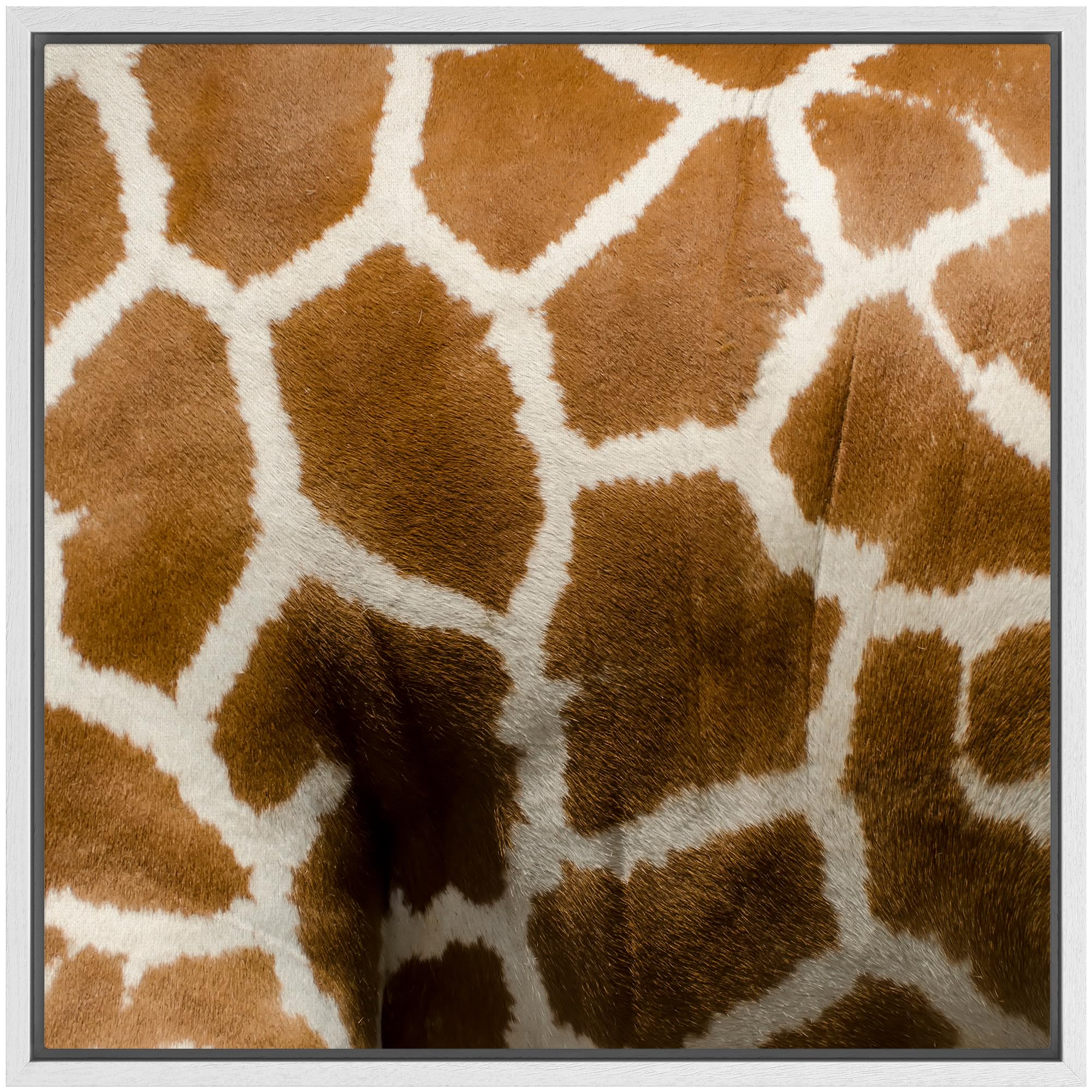 Wall26 Framed Framed Canvas Prints Wall Art Framed Framed Canvas Prints Wall Art - Giraffe Fur/Skin Texture - 24''X24'' White