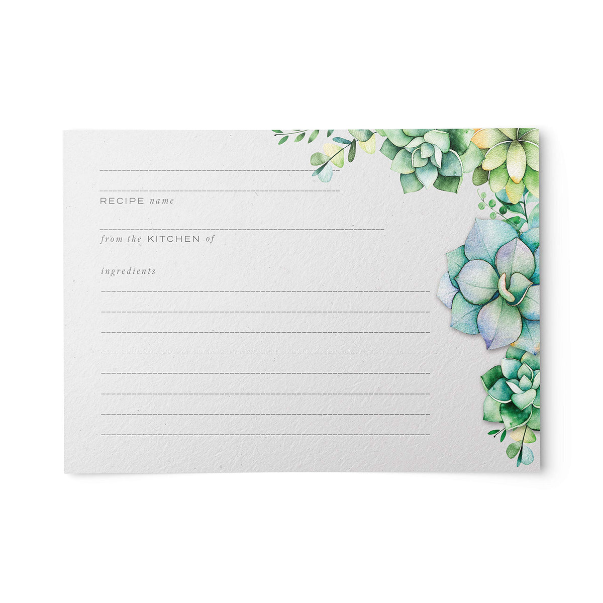 48 Succulents Recipe Cards, 4X6 In, Water Resistant