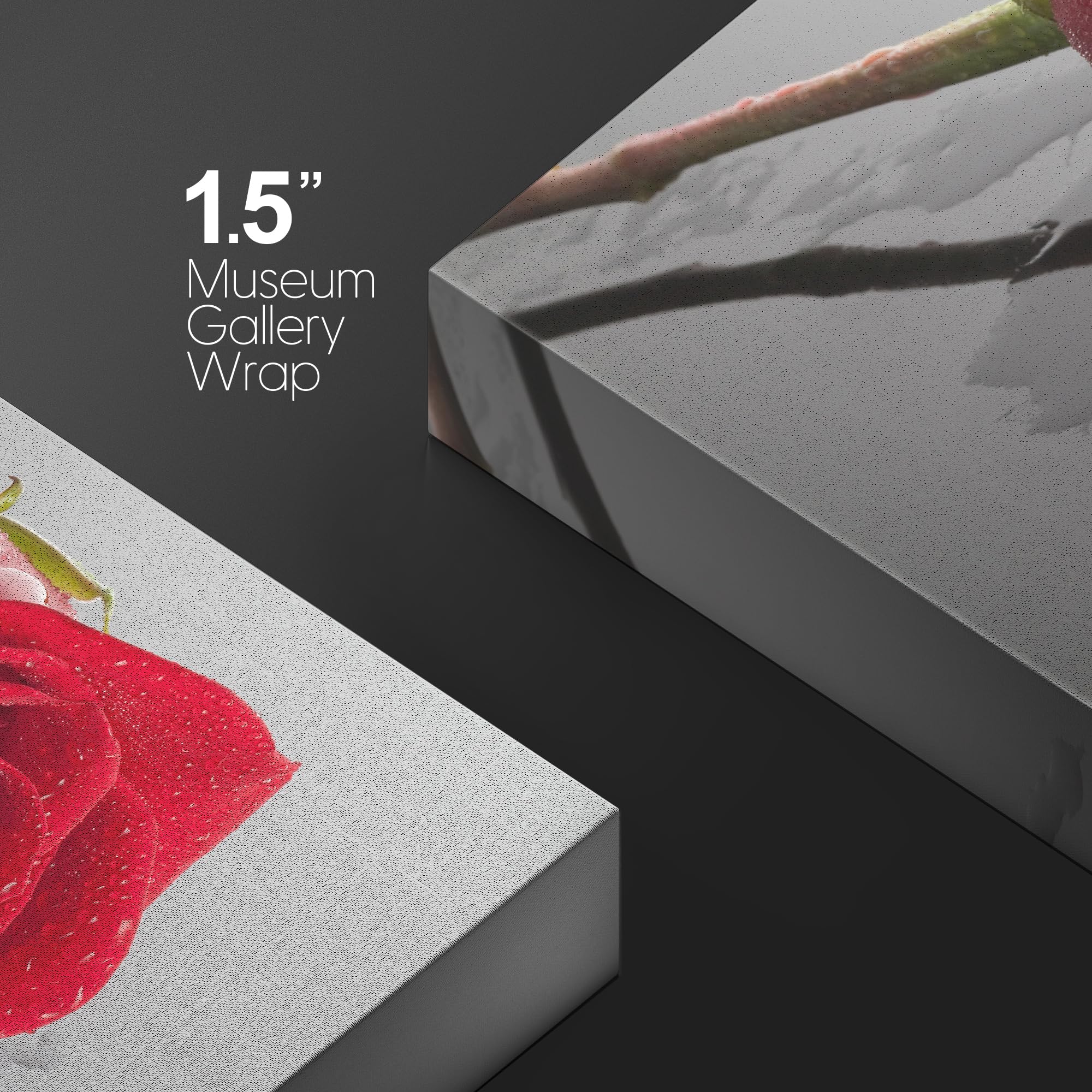 Wall26 Canvas Print Wall Art Red Rose Close Up With Water Floral Botanical Photography Modern Art Rustic Scenic Relax/Calm Multi