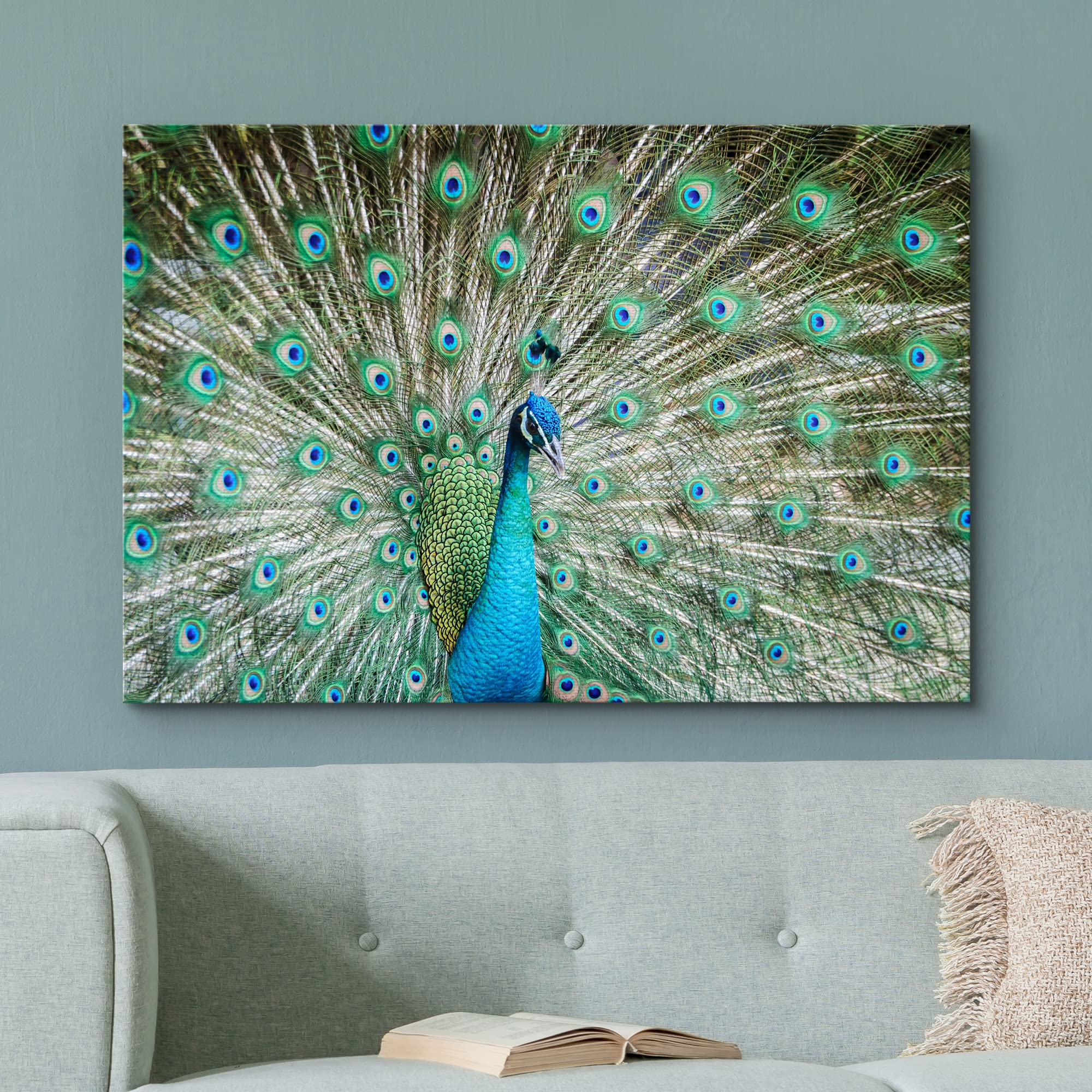 Canvas Prints Wall Art - Peacock Showing Its Beautiful Feathers/Spreading Its Tail | Modern Wall Decor/Home Decoration Stretched