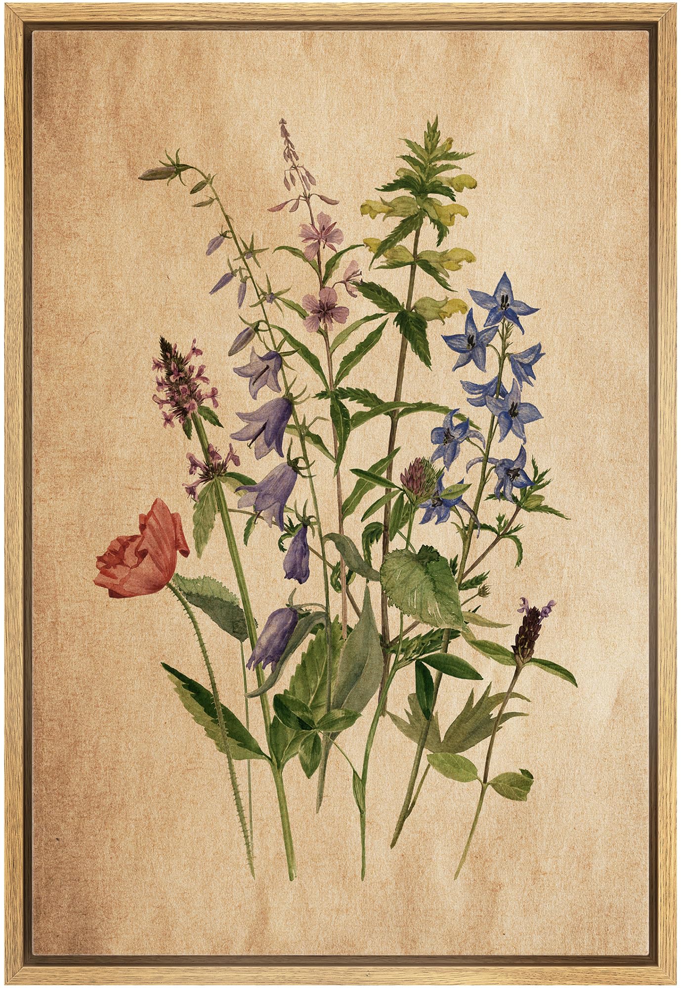 Wall26 Framed Canvas Print Wall Art Retro Antique Wildflower Still Life Nature Wilderness Illustrations Modern Art Botanical Flo