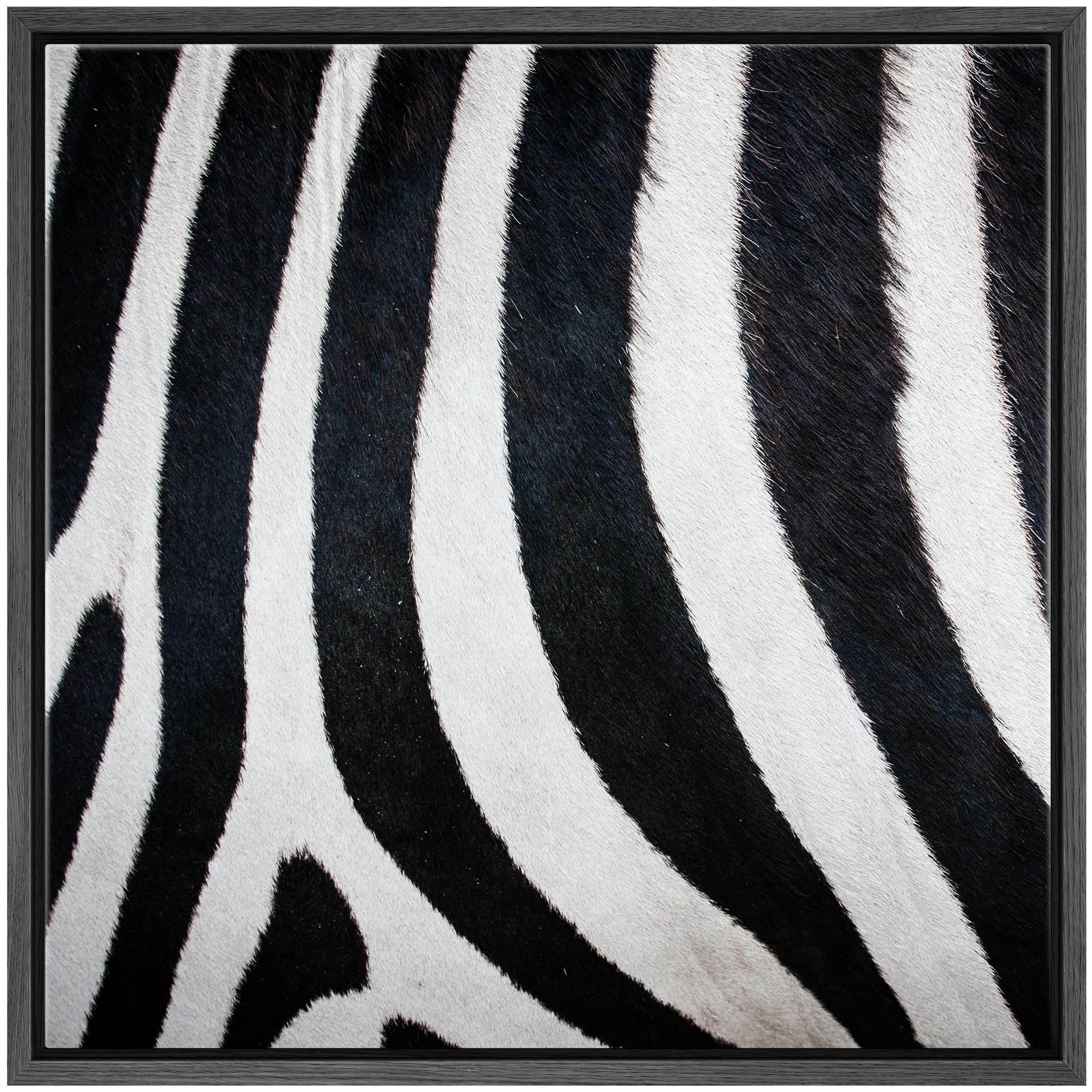 Wall26 Framed Framed Canvas Prints Wall Art Framed Framed Canvas Prints Wall Art - Zebra Fur/Skin Texture - 16''X16'' Black