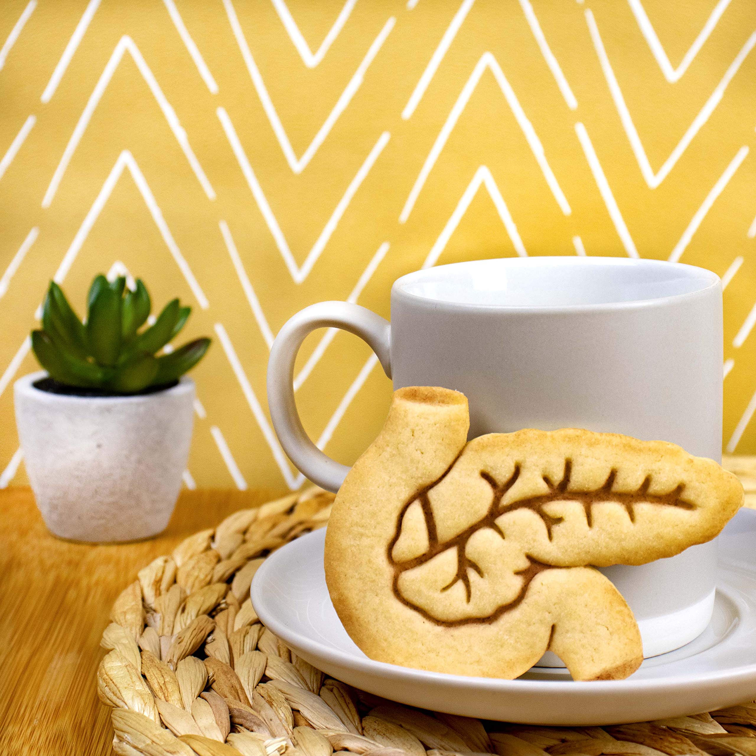 Pancreas Cookie Cutter, 1 Piece - Bakerlogy