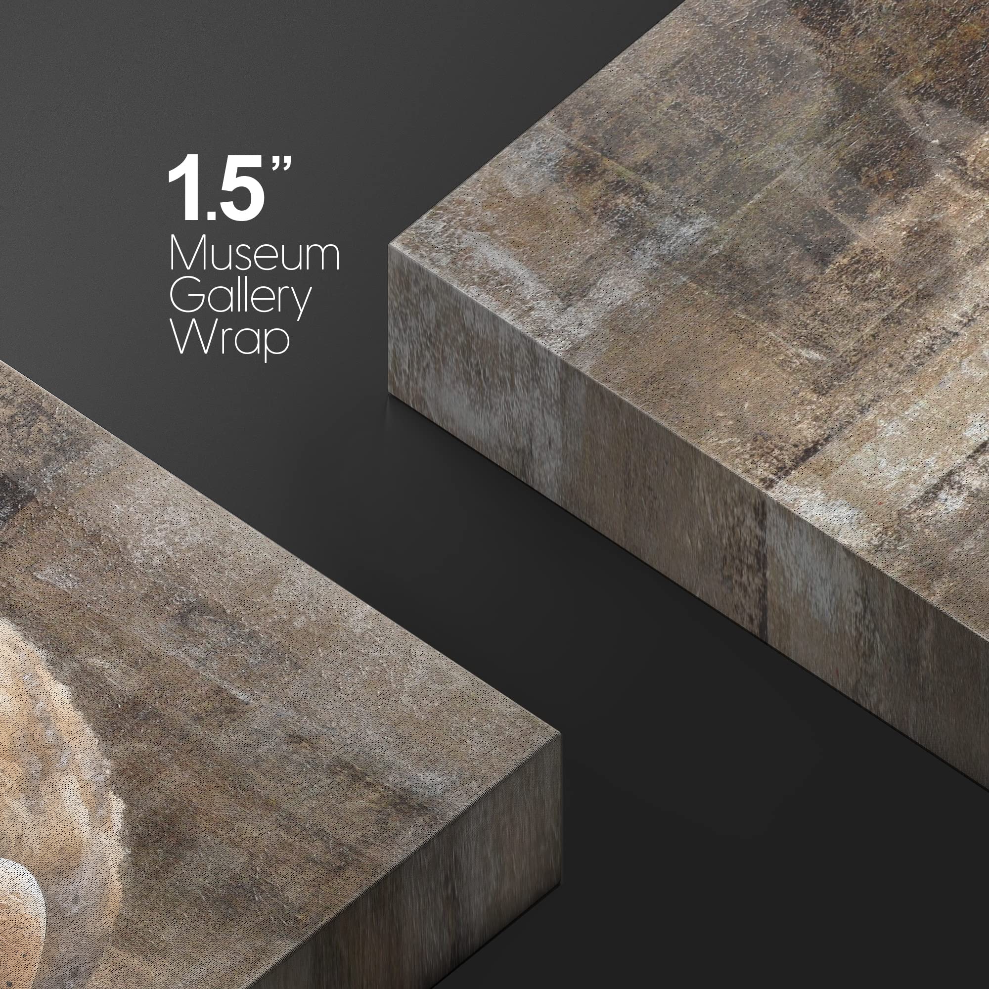 Wall26 - Canvas Wall Art - Common Barn Owl (Tyto Albahead) Head Close Up - Gallery Wrap Modern Home Art | Ready To Hang - 16X24