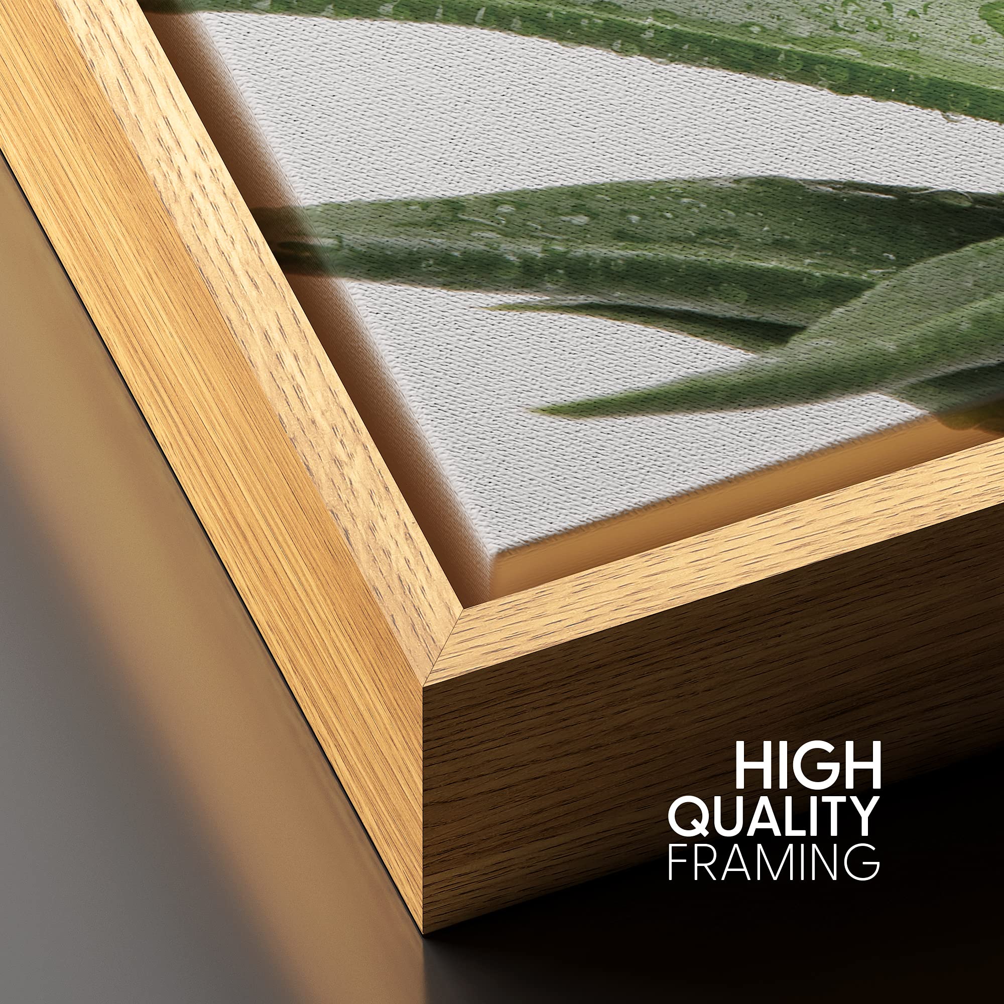 Signford Framed Canvas Print Wall Art Green Aloe Vera Succulent Botanical Wilderness Photography Realism Contemporary Portrait C