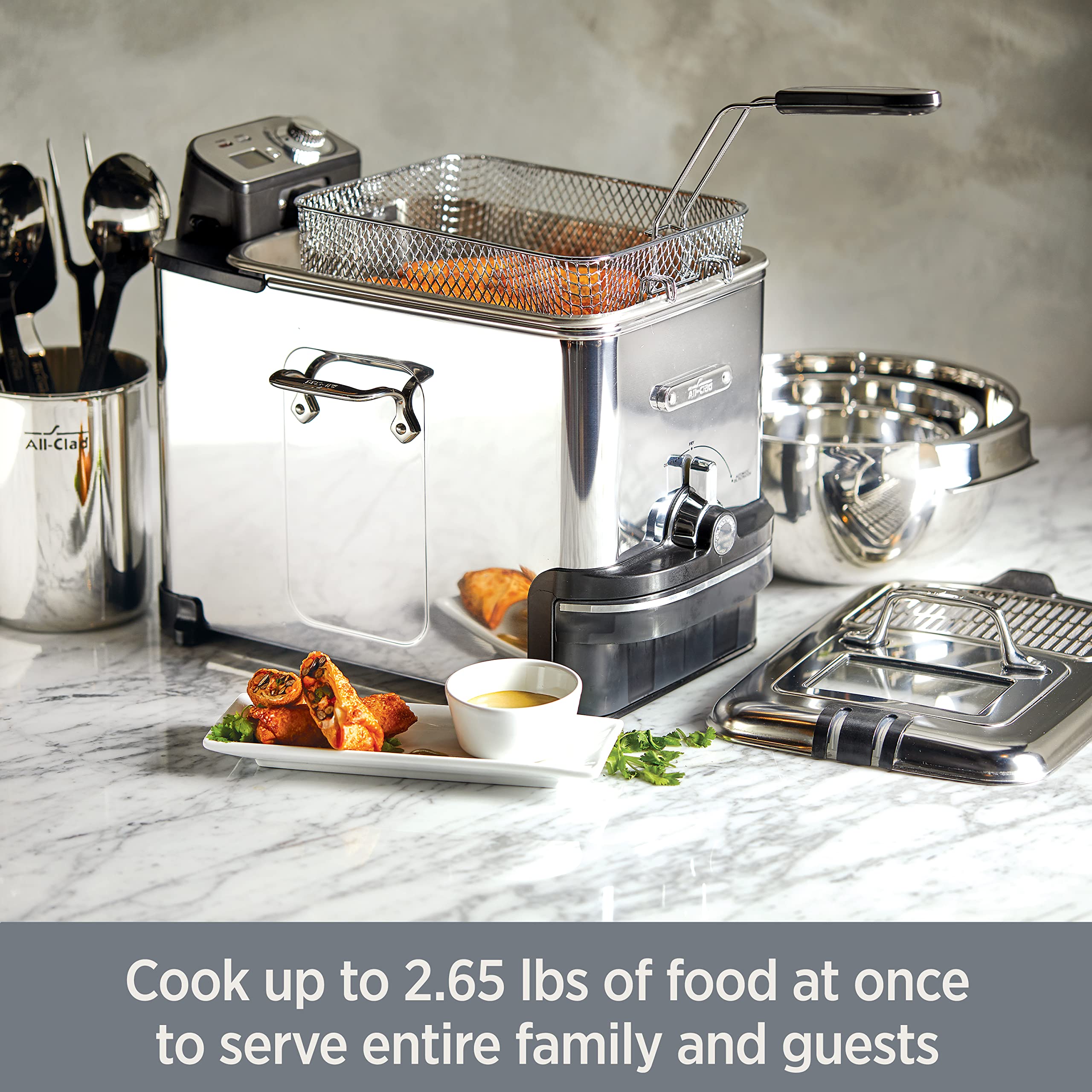 All-Clad Electrics Stainless Steel Deep Fryer With Basket 3.5 Liter Oil Capacity, 2.6 Pound Food Capacity 1700 Watts Dishwasher