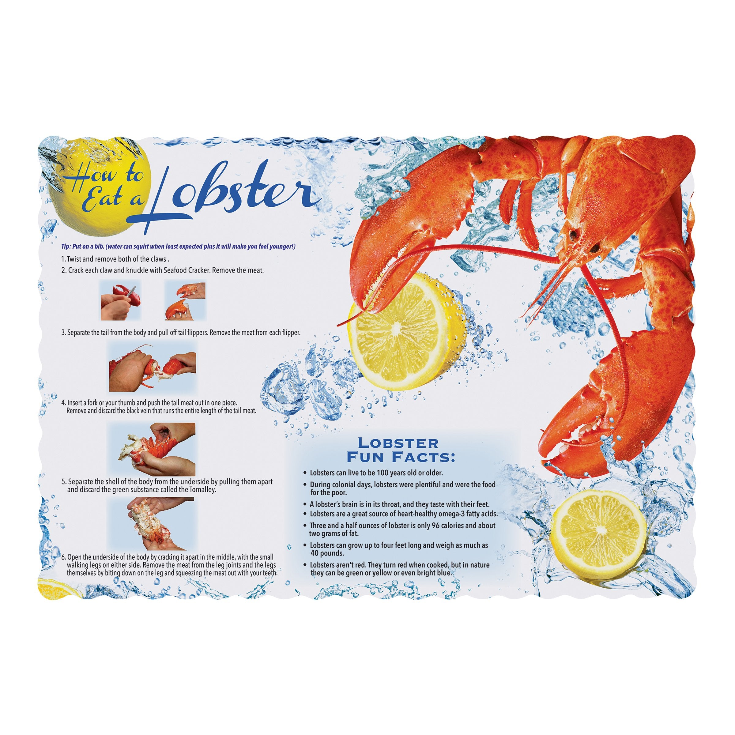 Hoffmaster 311128 Lobster Facts Placemat, 9.75'' Length X 14'' Width (Pack Of 1000)