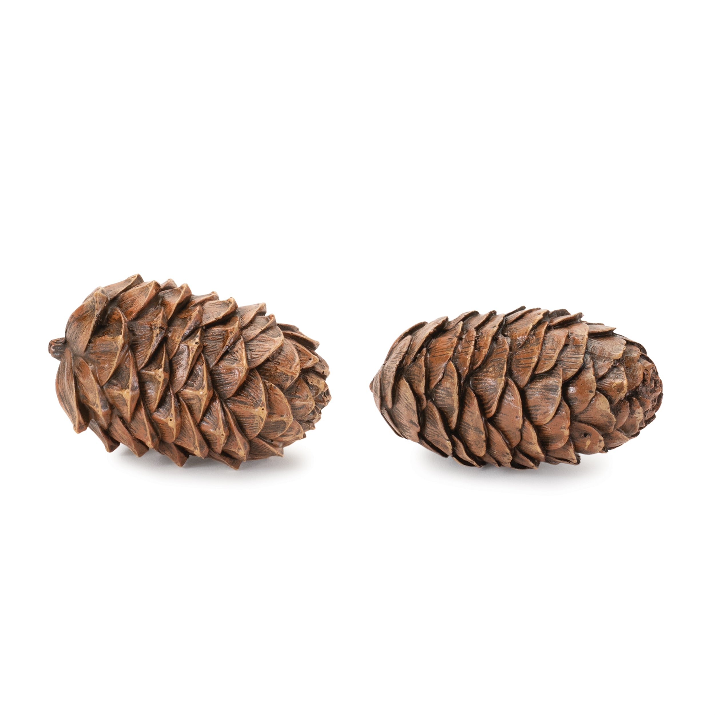 Pine Cone (Set of 12) 3.5L Resin