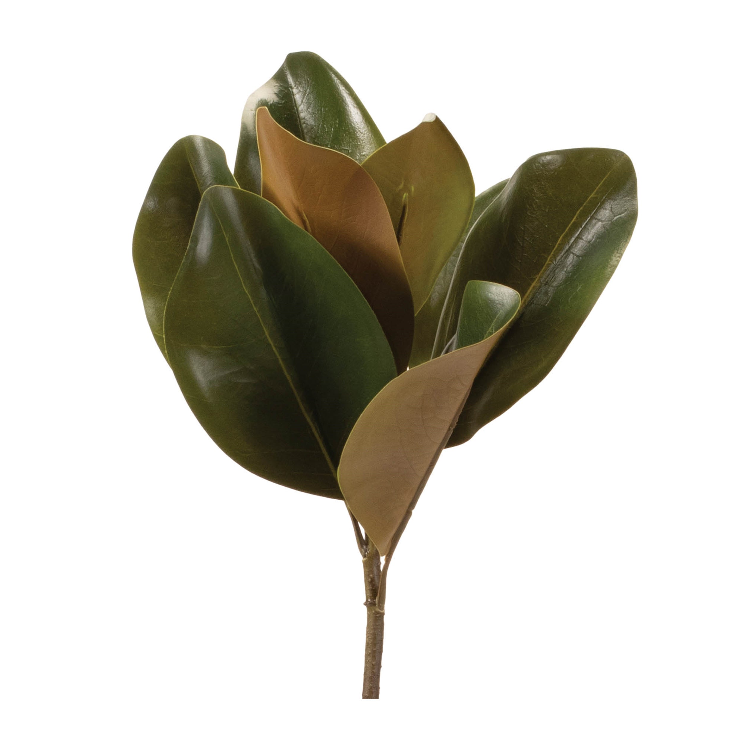Magnolia Leaf Spray (Set of 6) 23.5H Polyester