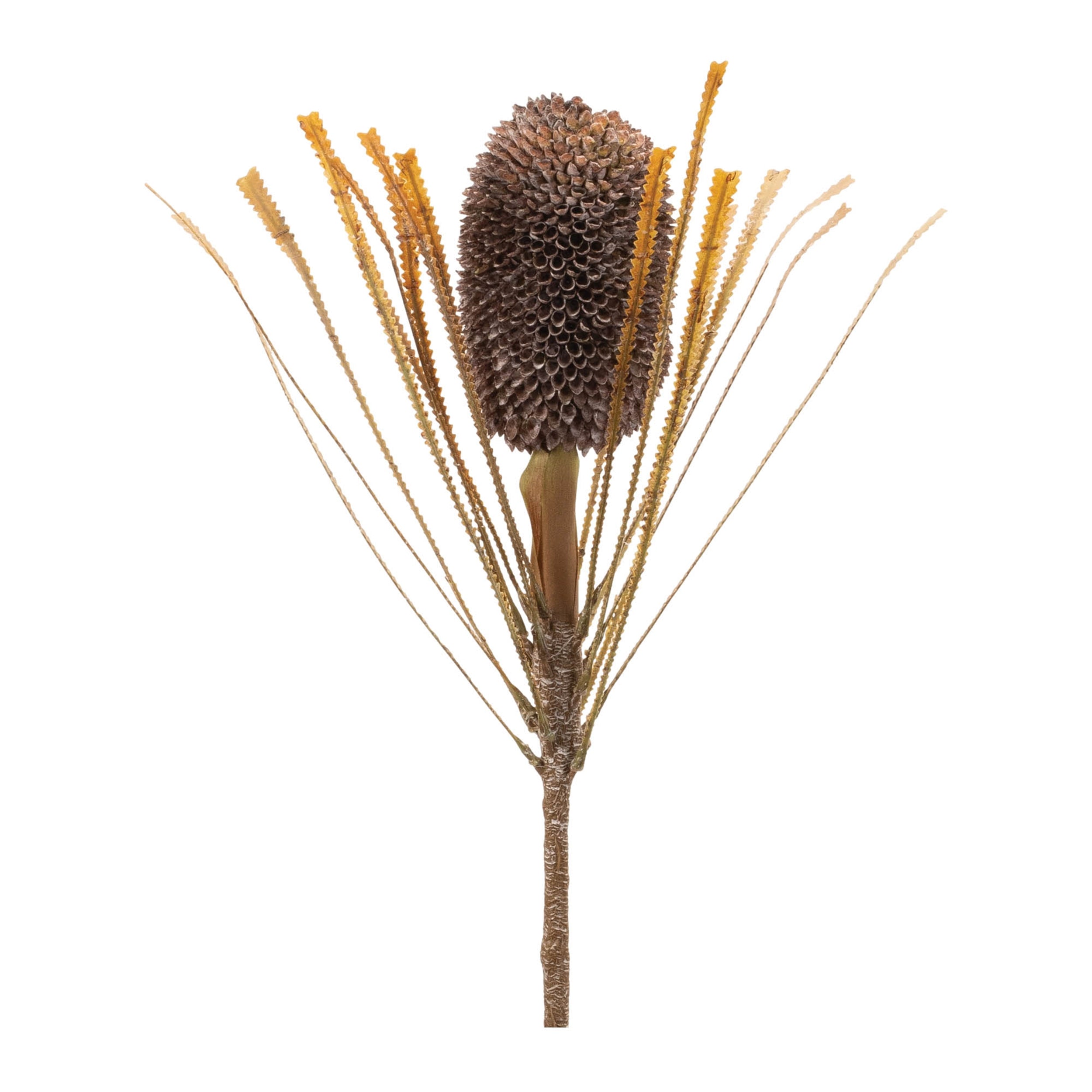 Banksia Stem (Set of 2) 28H Plastic