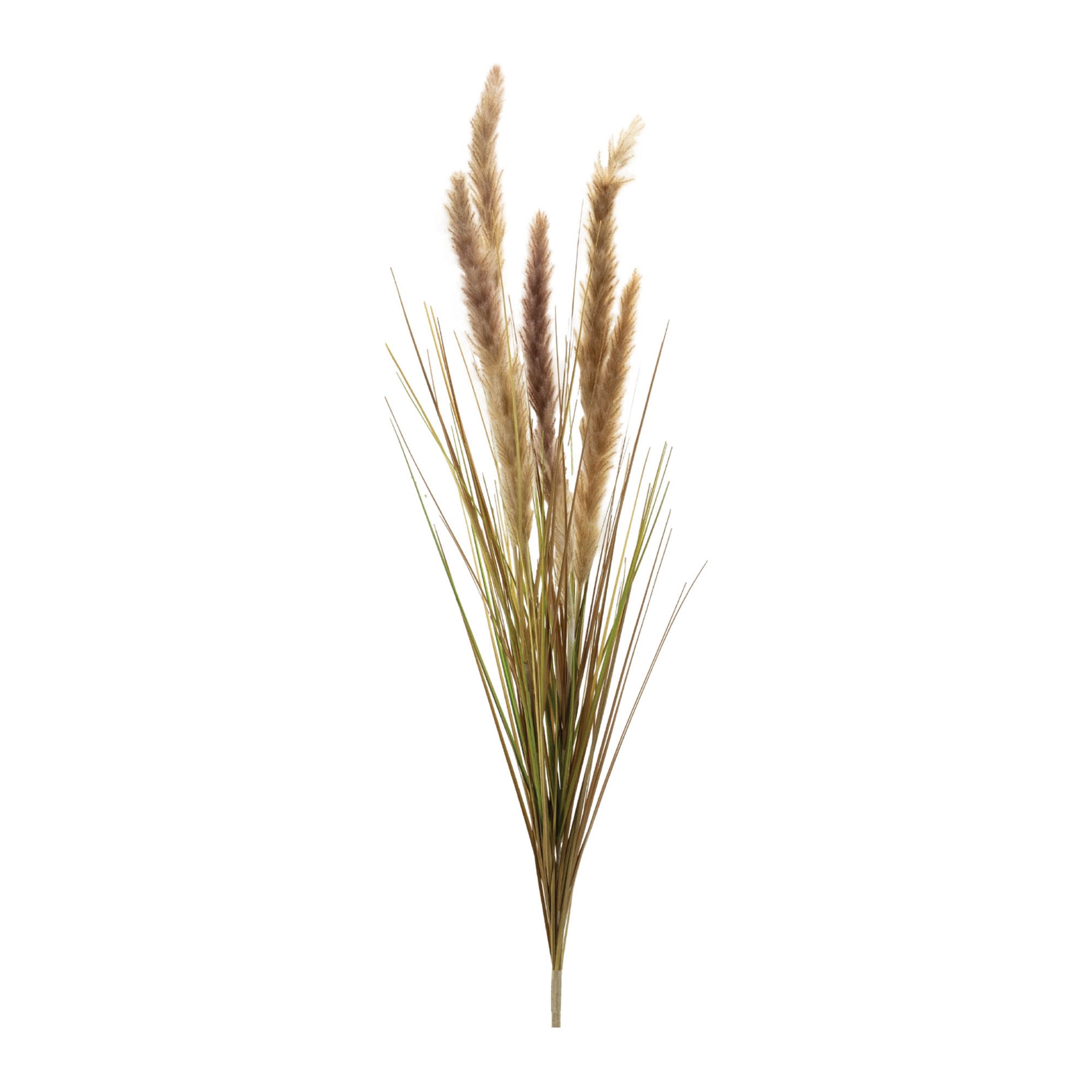 Foxtail Bush (Set of 6) 40H Plastic