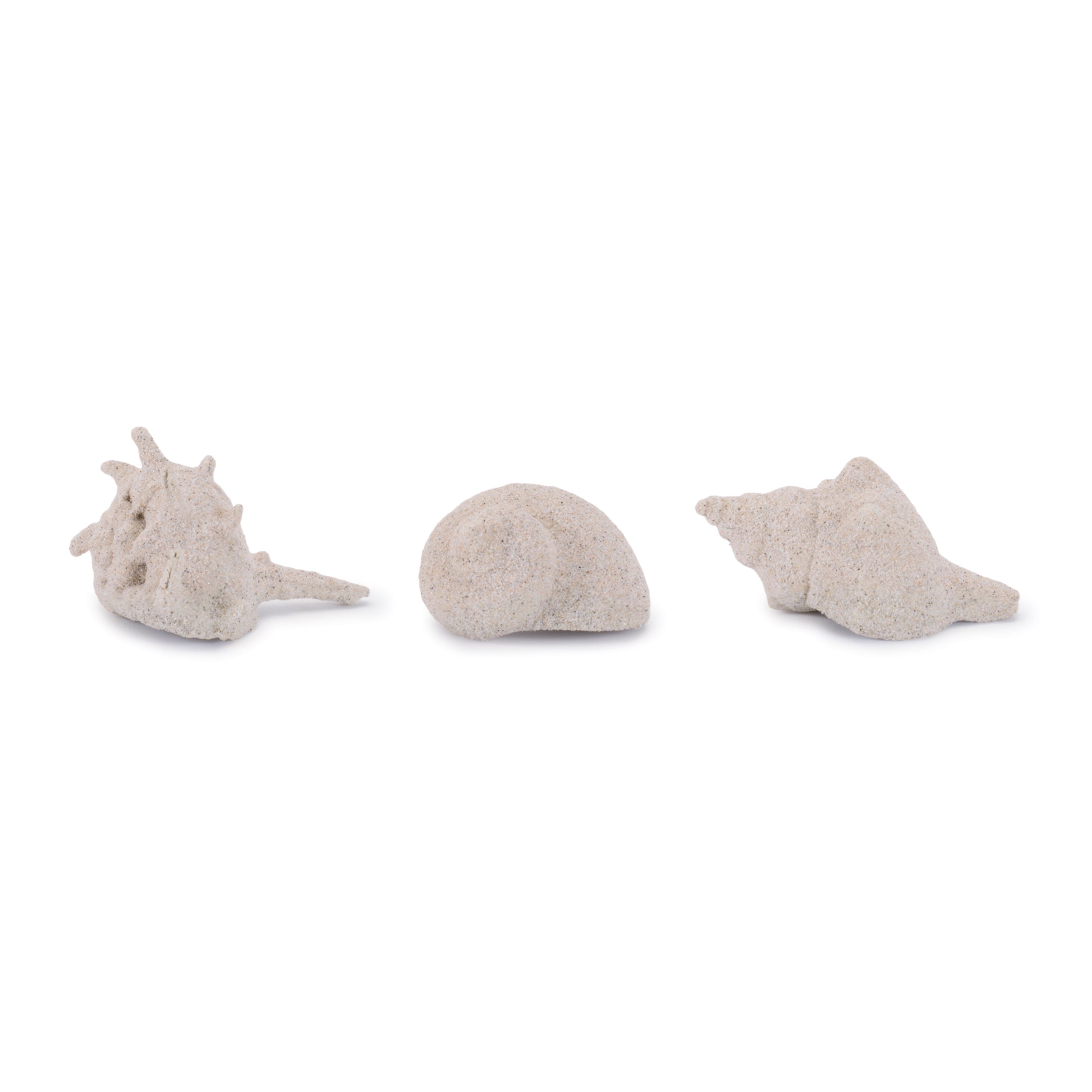 Shell (Set of 12) 2H, 2.5H, 3H Resin