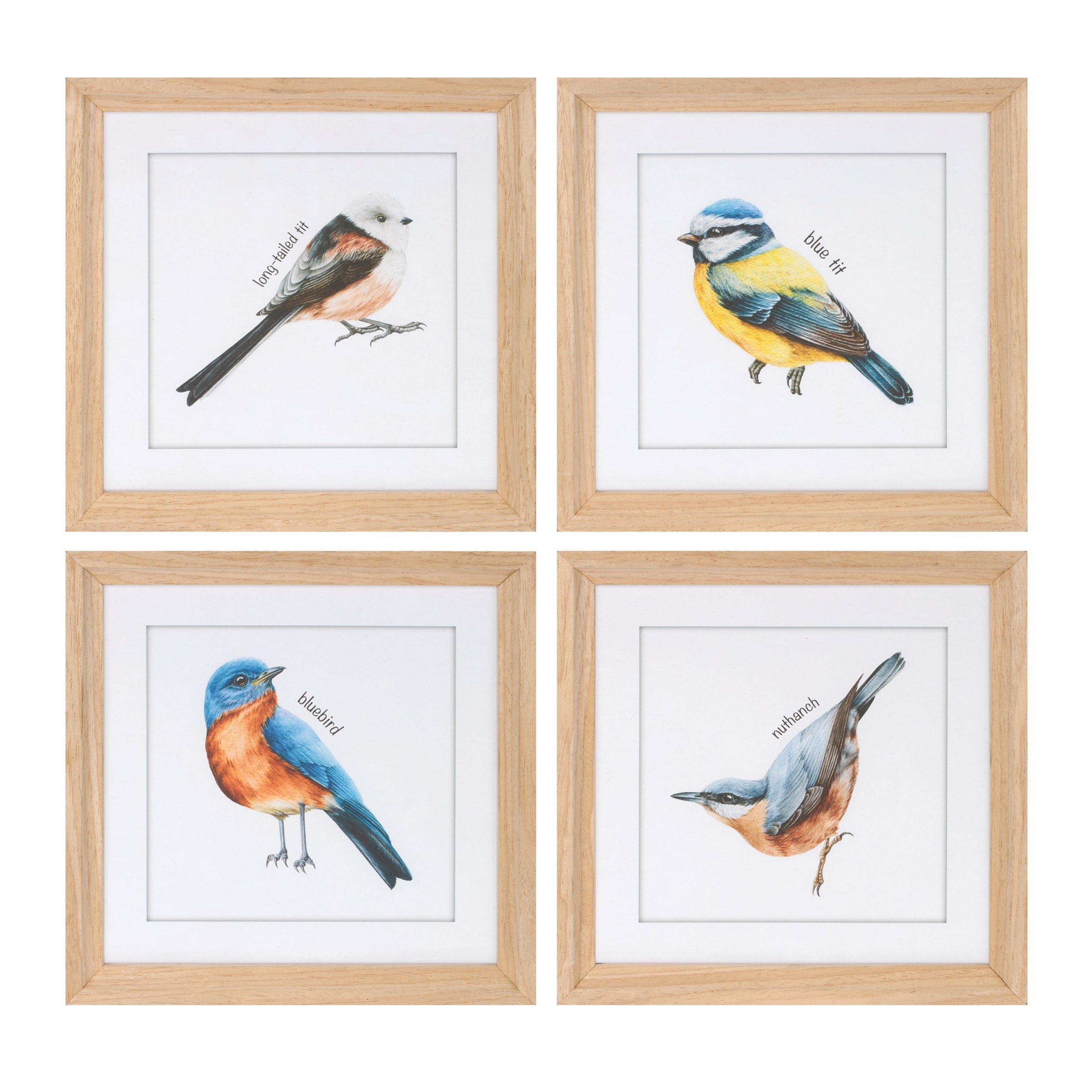 Framed Bird Print (Set of 8) 9.75SQ MDF/Glass/Paper
