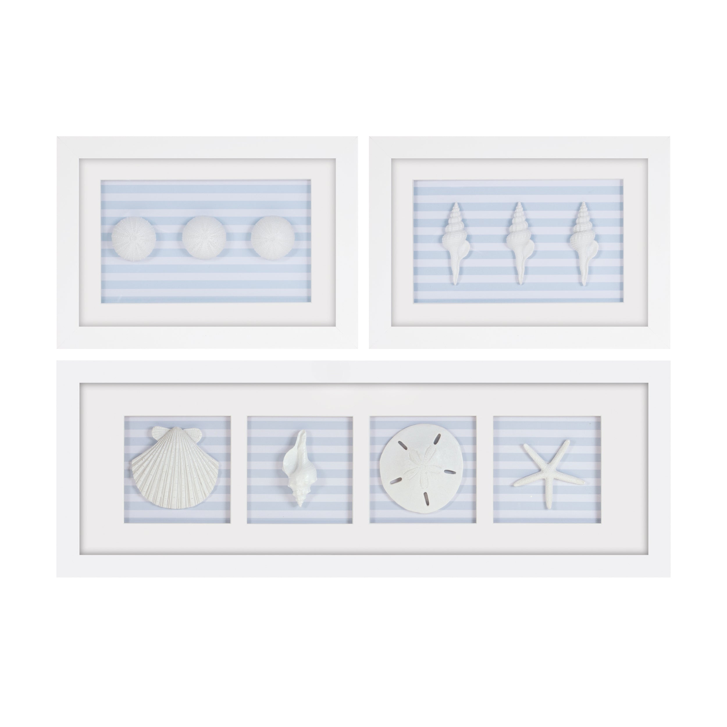 Framed Sand Dollar and Shells Print (Set of 3) 13L x 9H, 26.5L x 9H Plastic/Resin