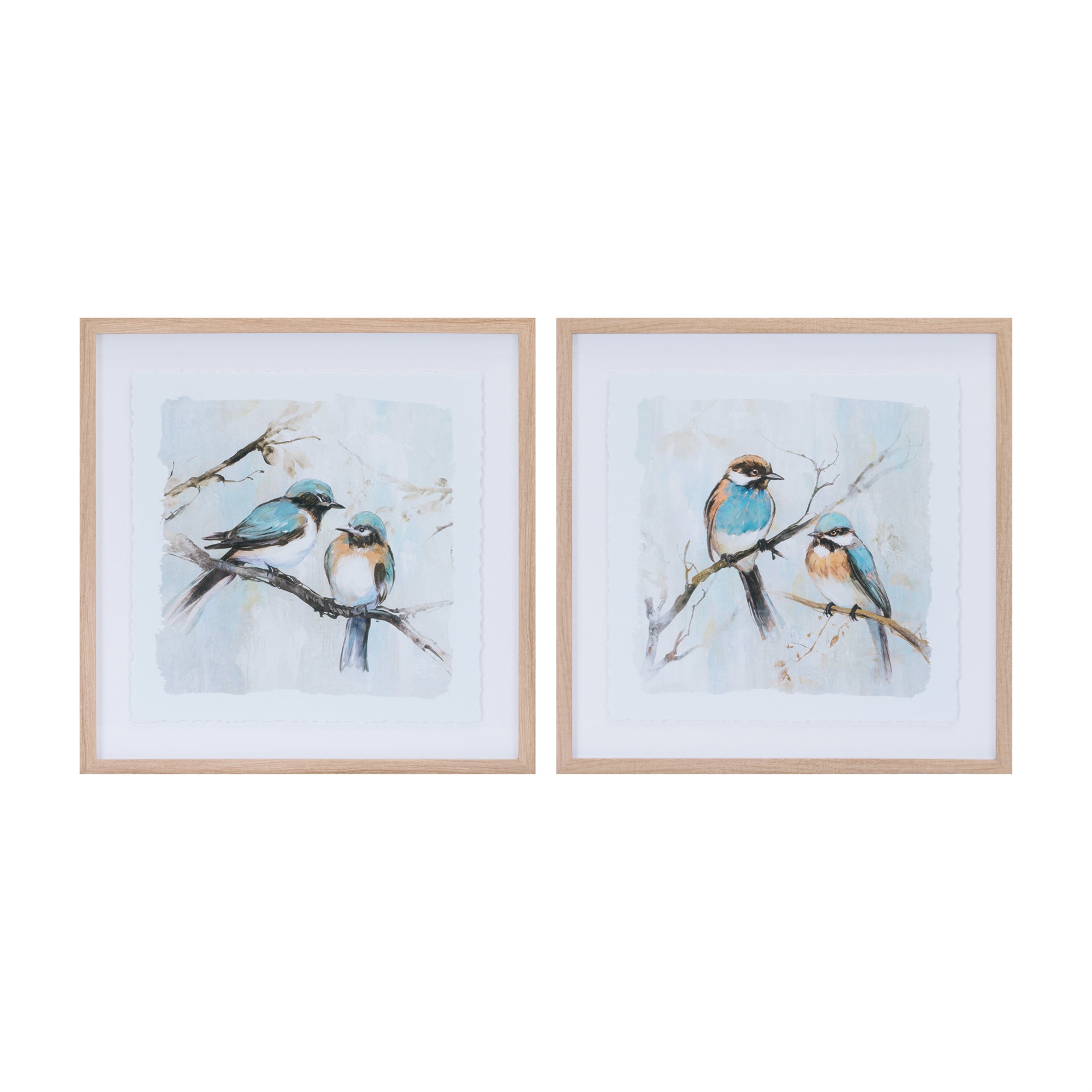 Framed Bird Print (Set of 2) 21SQ Plastic/Paper