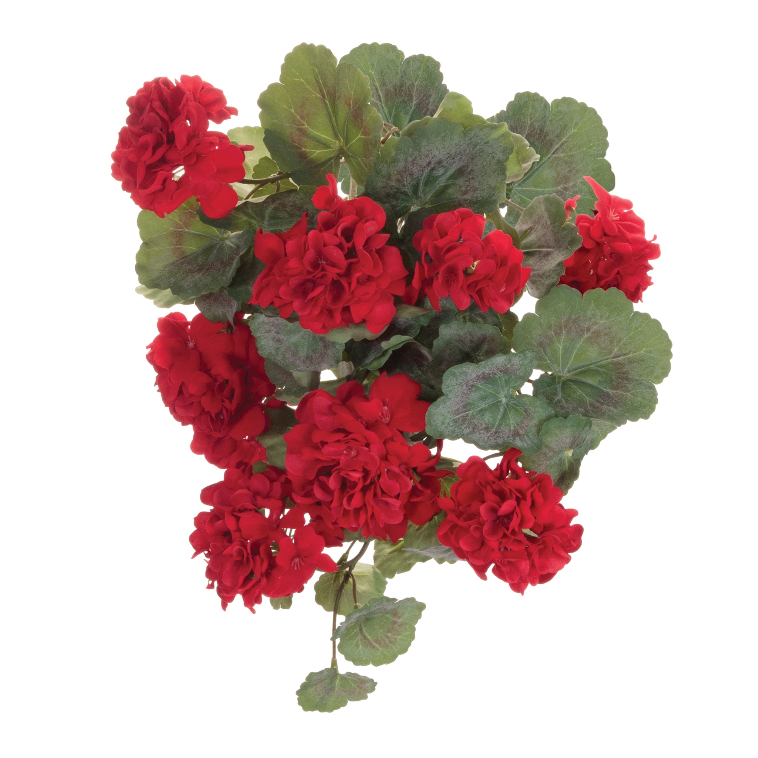 Geranium Bush (Set of 2) 21.5H Polyester