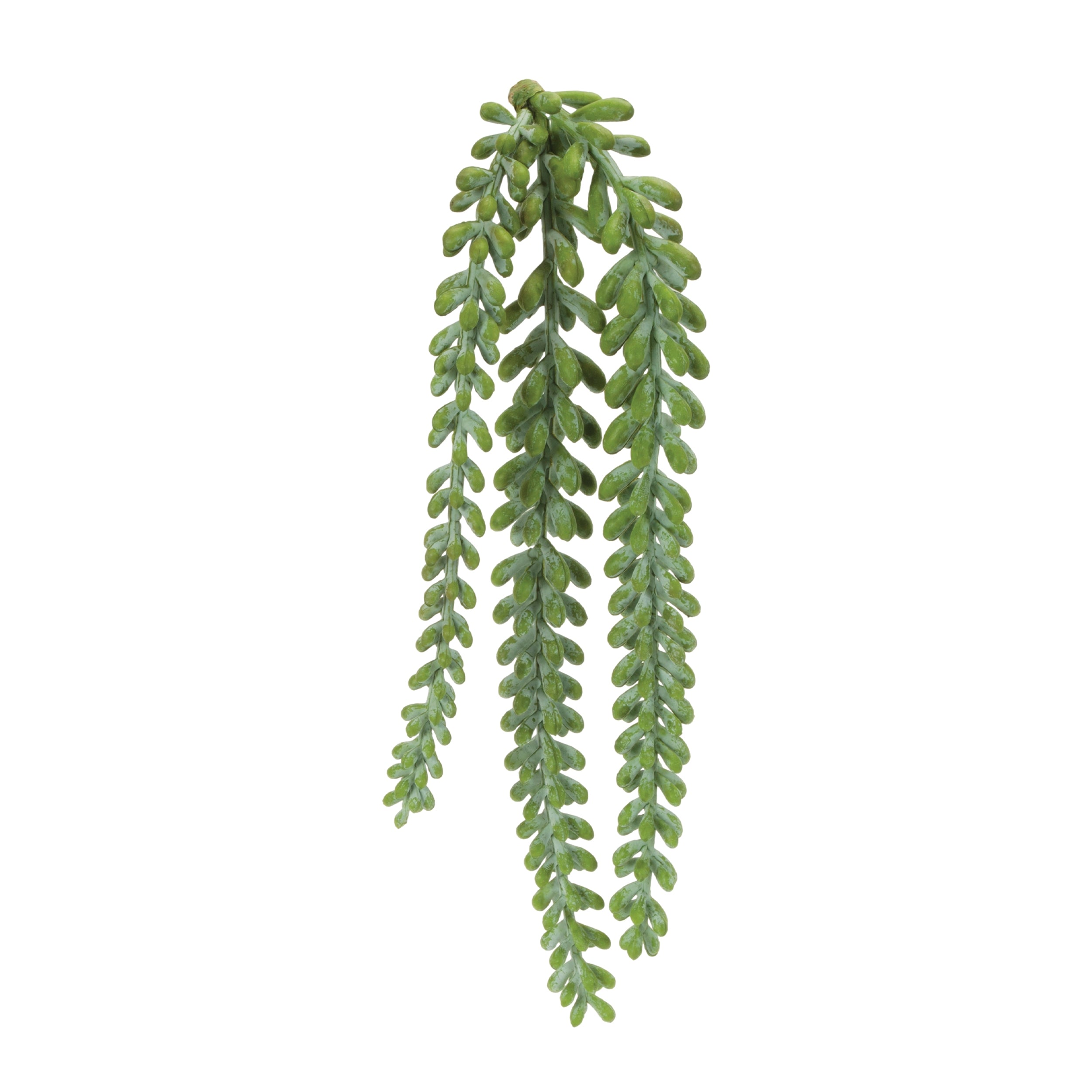 Succulent Stem (Set of 12) 14.5H Plastic
