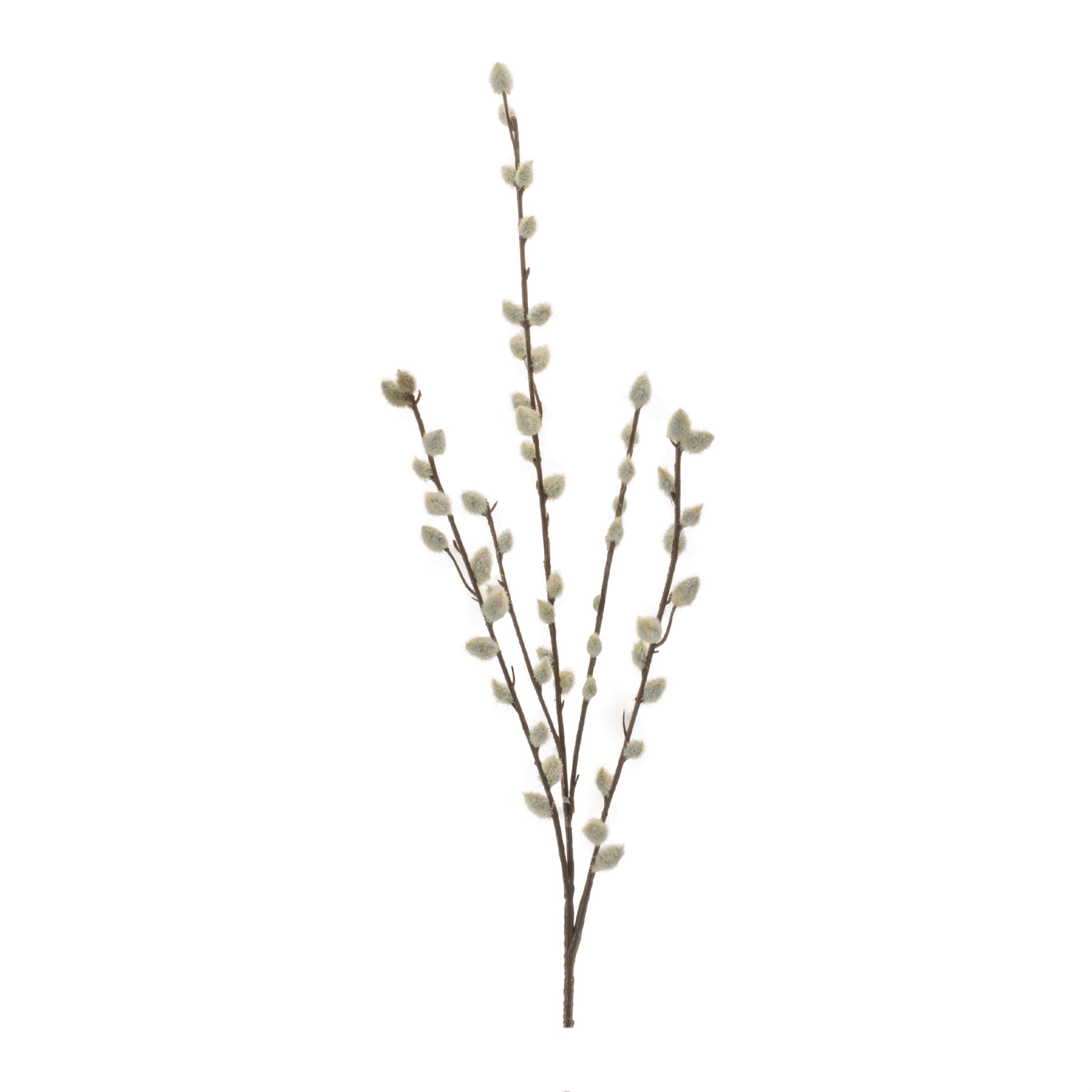 Pussy Willow Stem (Set of 6) 30.5H Plastic
