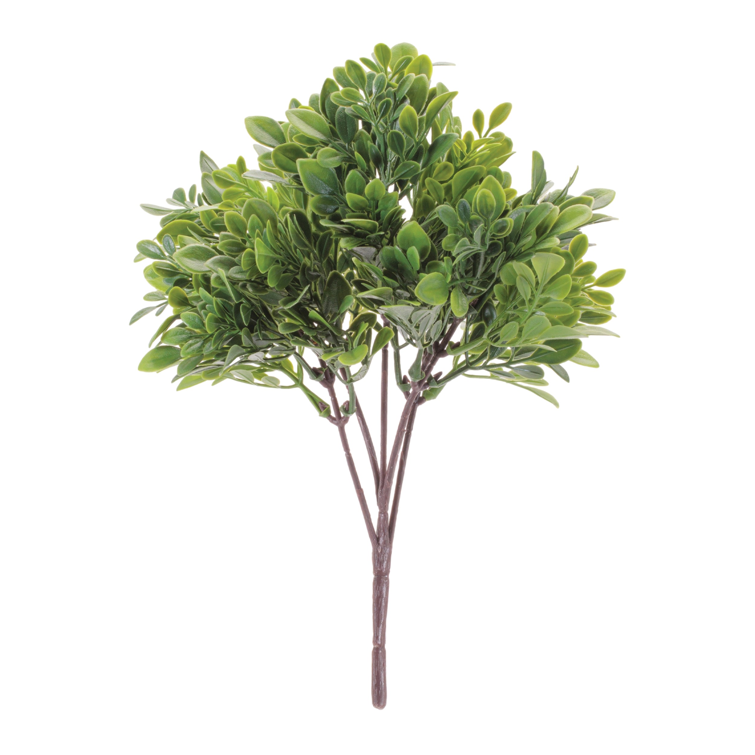 Boxwood Bush (Set of 6) 11.5H Plastic