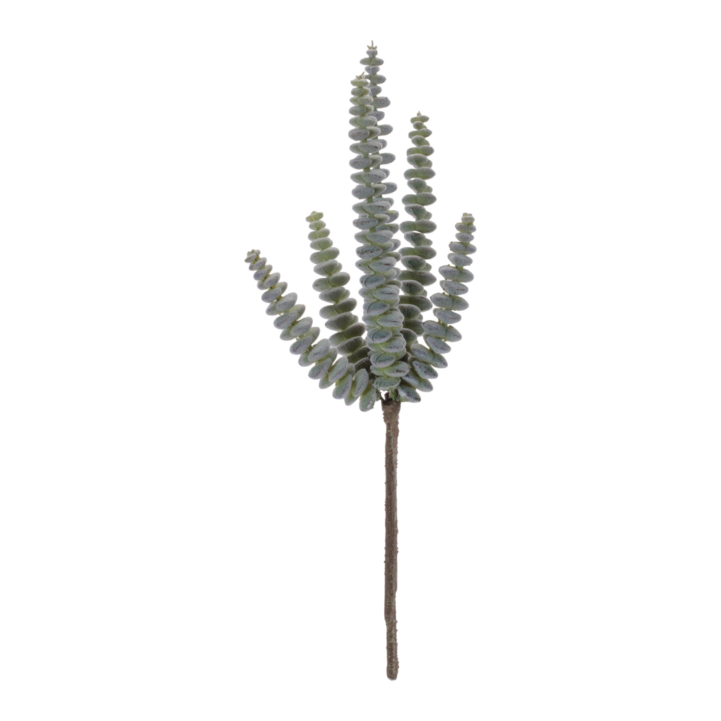Succulent (Set of 6) 11H Plastic