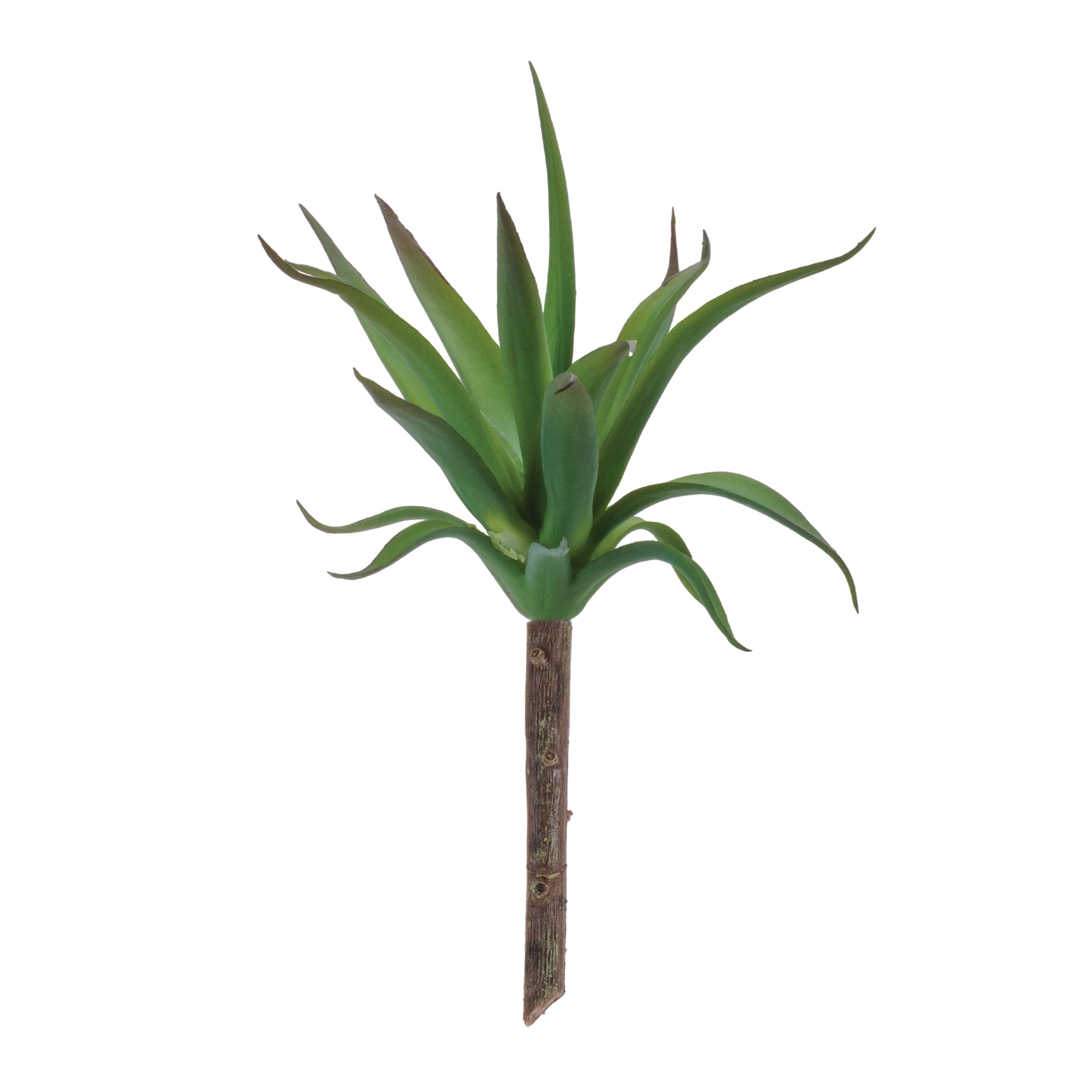 Succulent (Set of 6) 8.75H Plastic