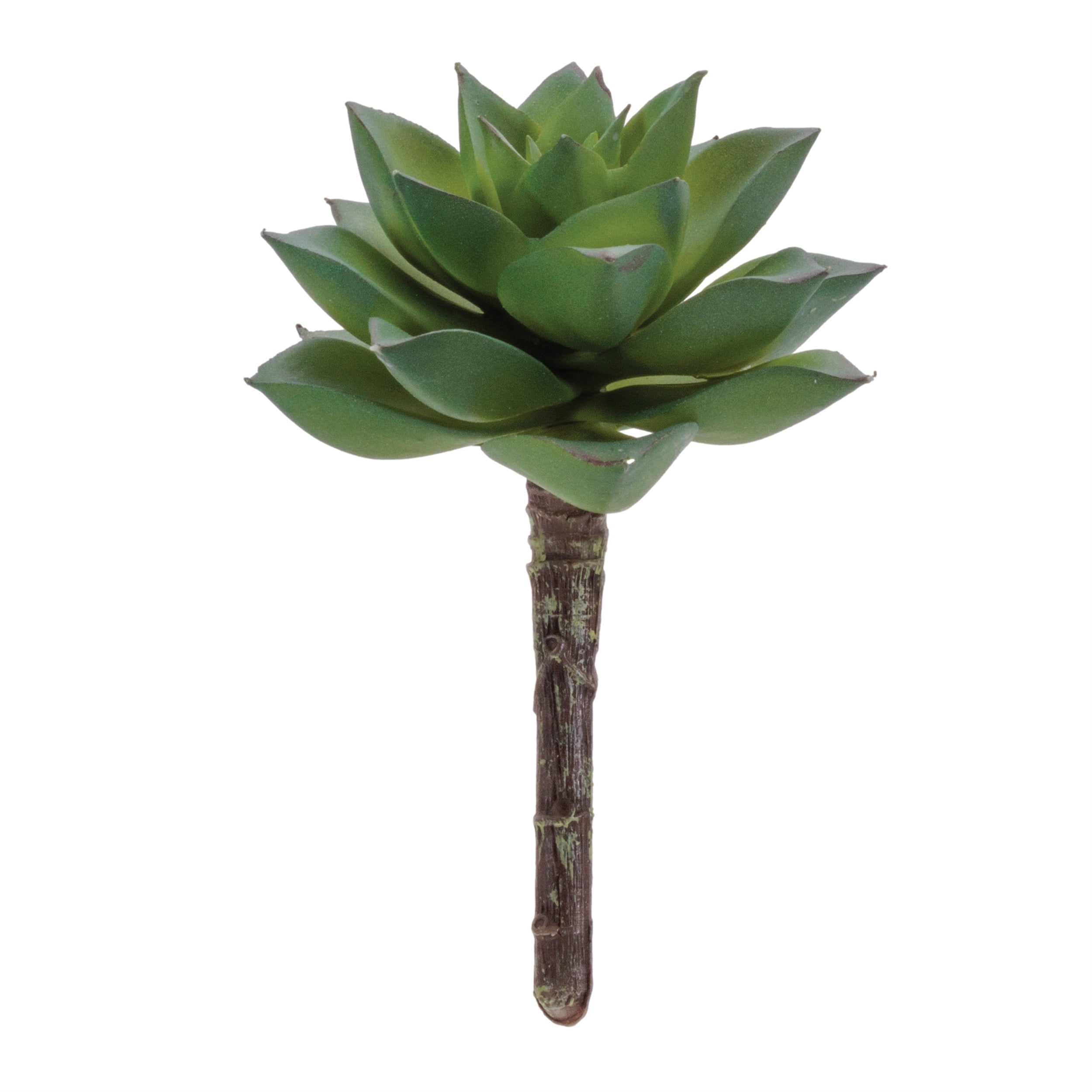 Succulent (Set of 12) 4.25H Plastic