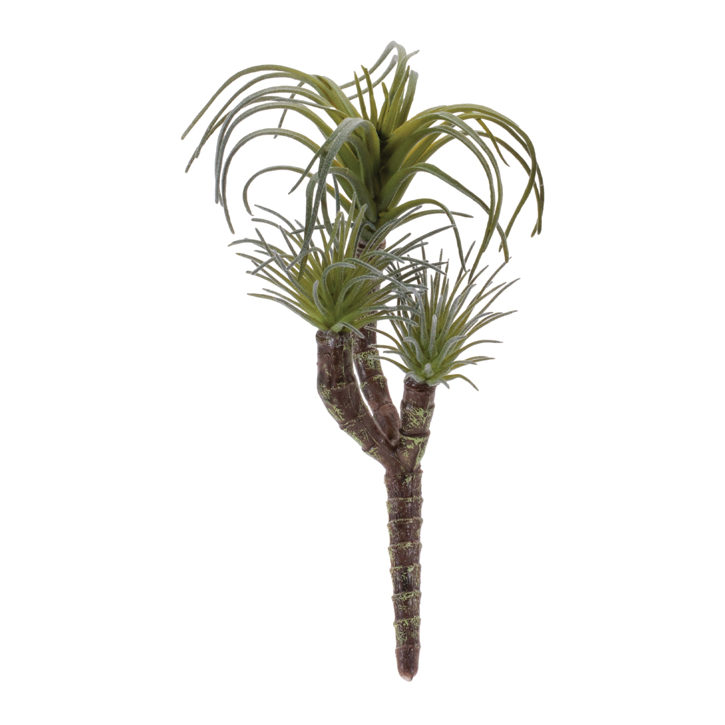 Succulent (Set of 6) 8.25H Plastic