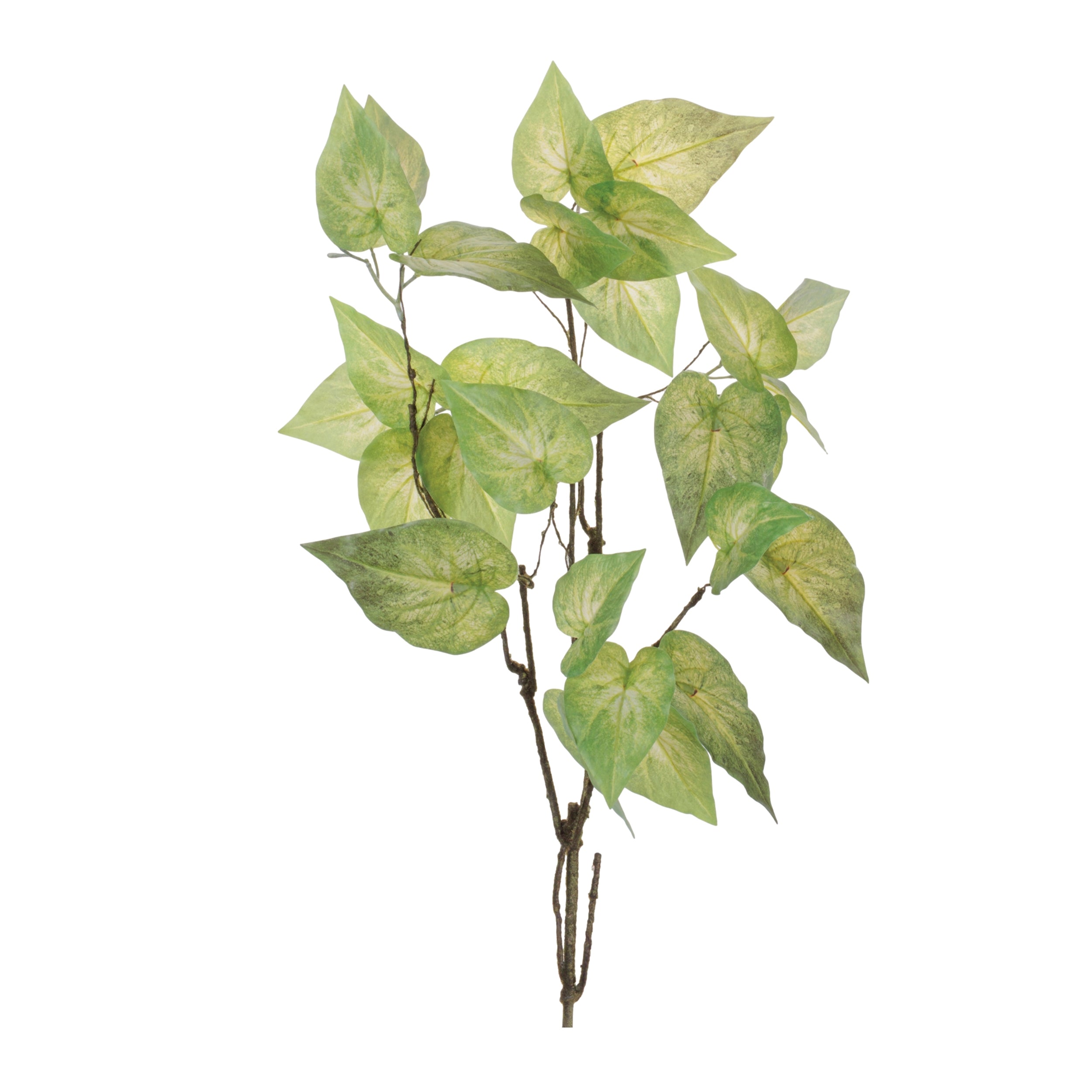 Anthurium Leaf Branch (Set of 4) 40H Polyester