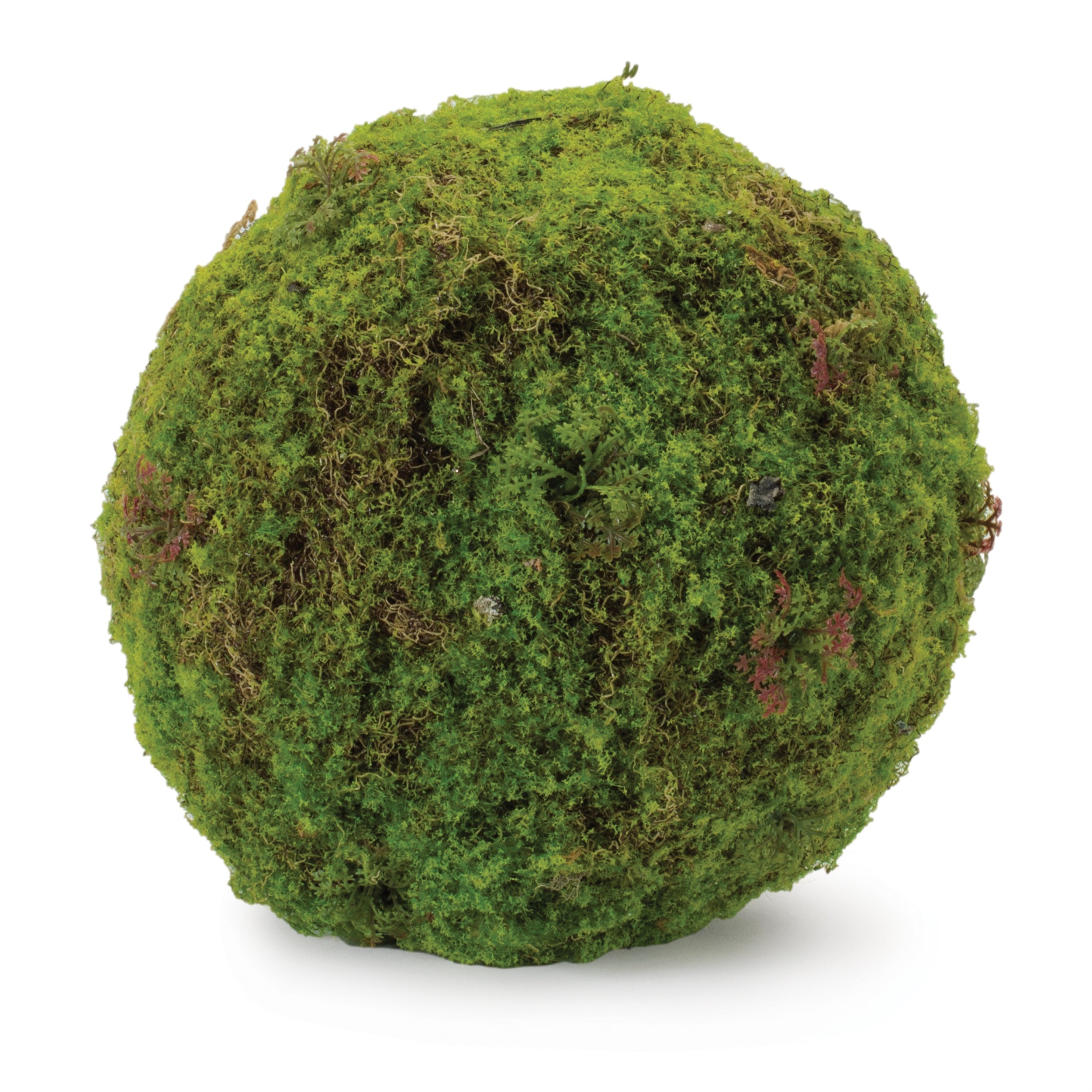 Moss Orb (Set of 2) 8.5D Plastic/Polyester