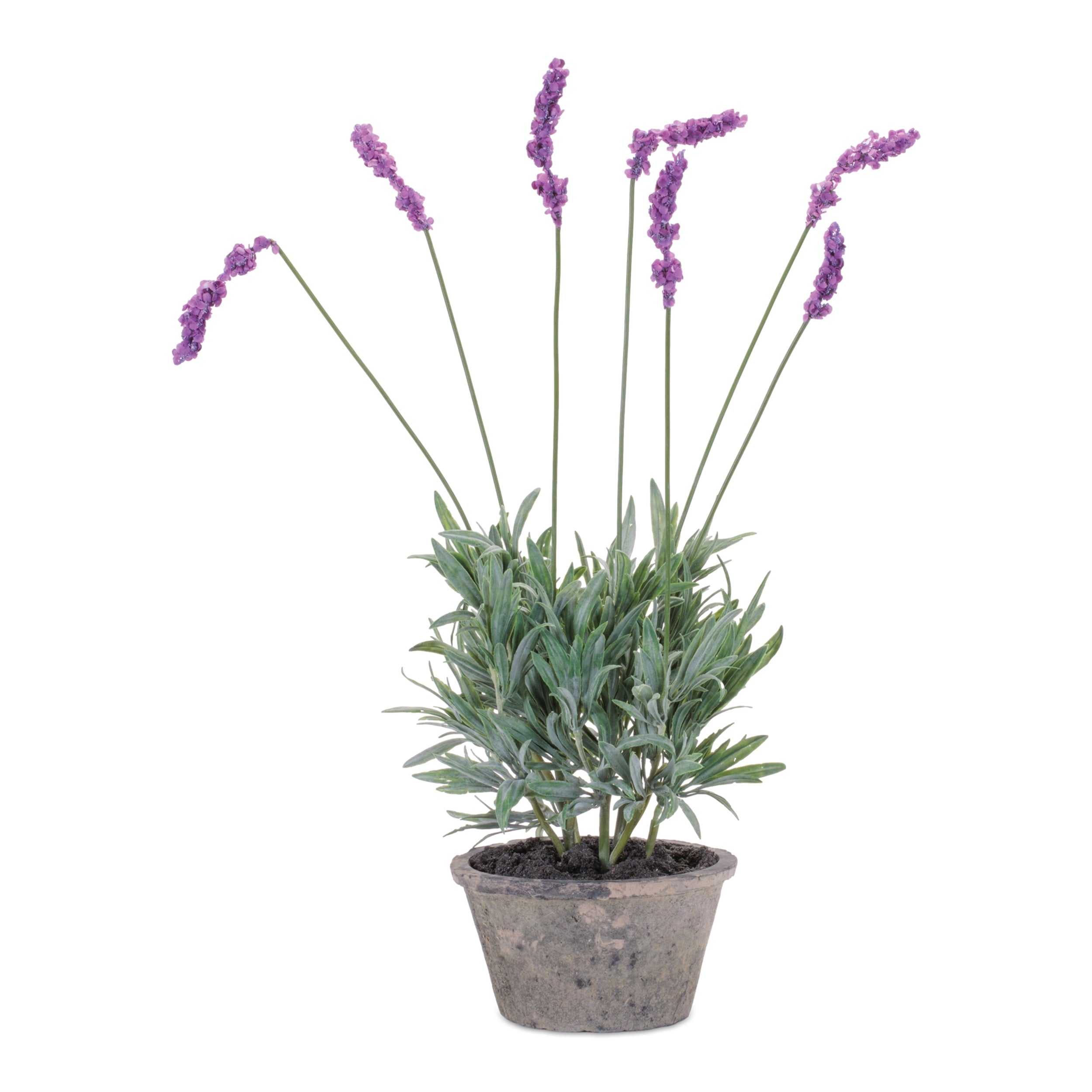 Potted Lavender (Set of 4) 20H Polyester/Cement