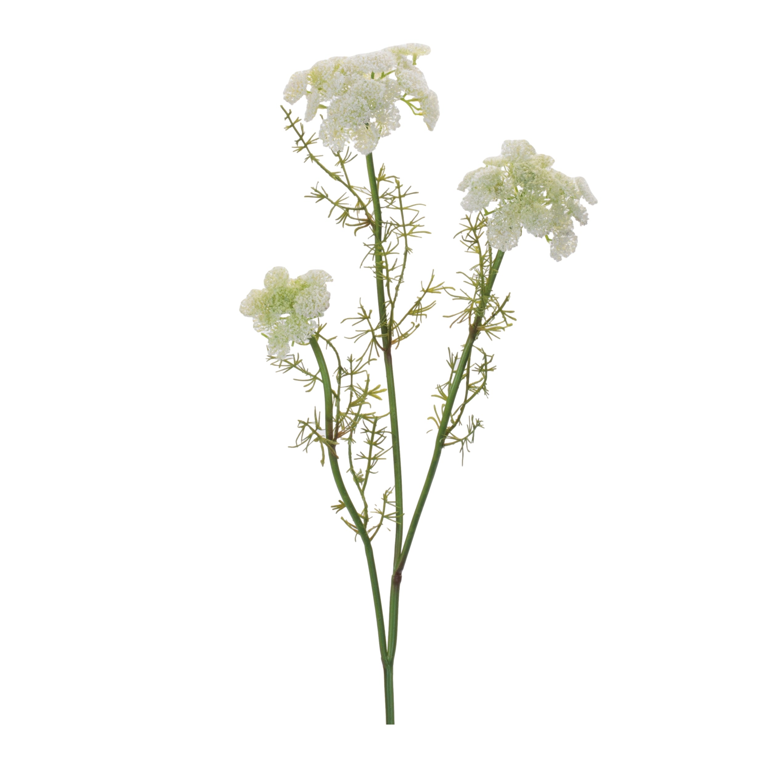 Queen Annes Lace Spray (Set of 6) 29H Plastic