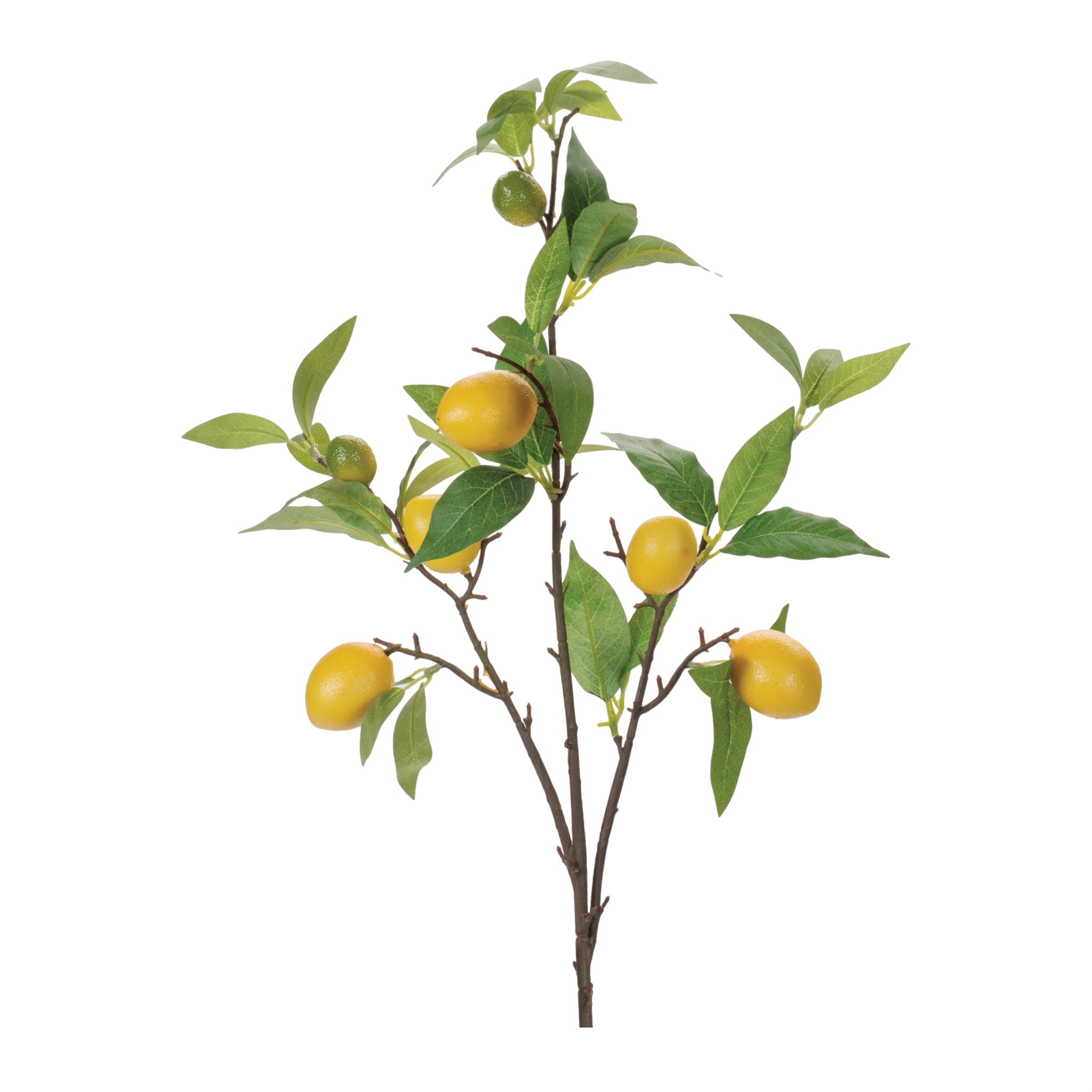Lemon Branch (Set of 6) 33.5H Polyester/Styrofoam