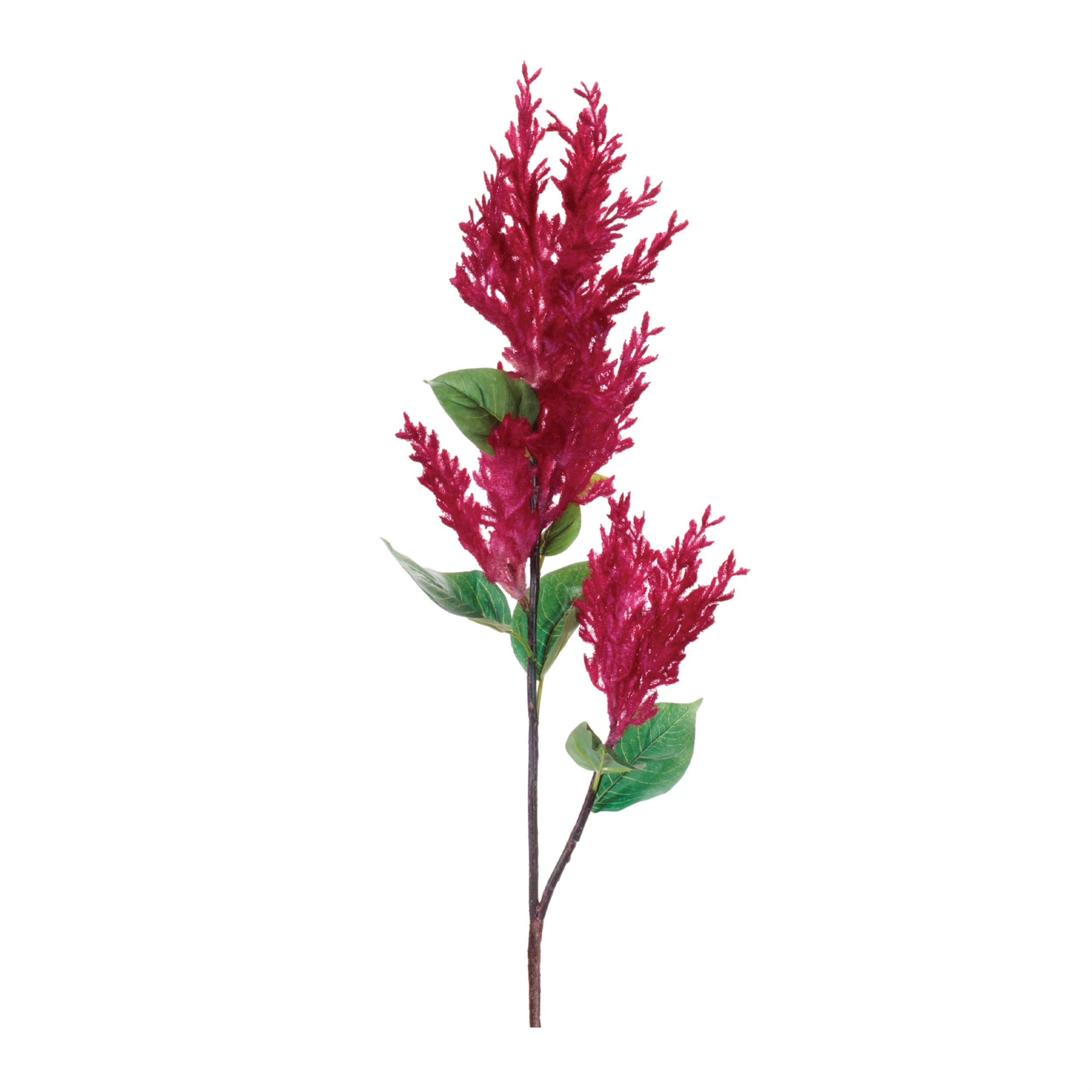 Astilbe Spray (Set of 2) 35.5H Plastic/Fabric