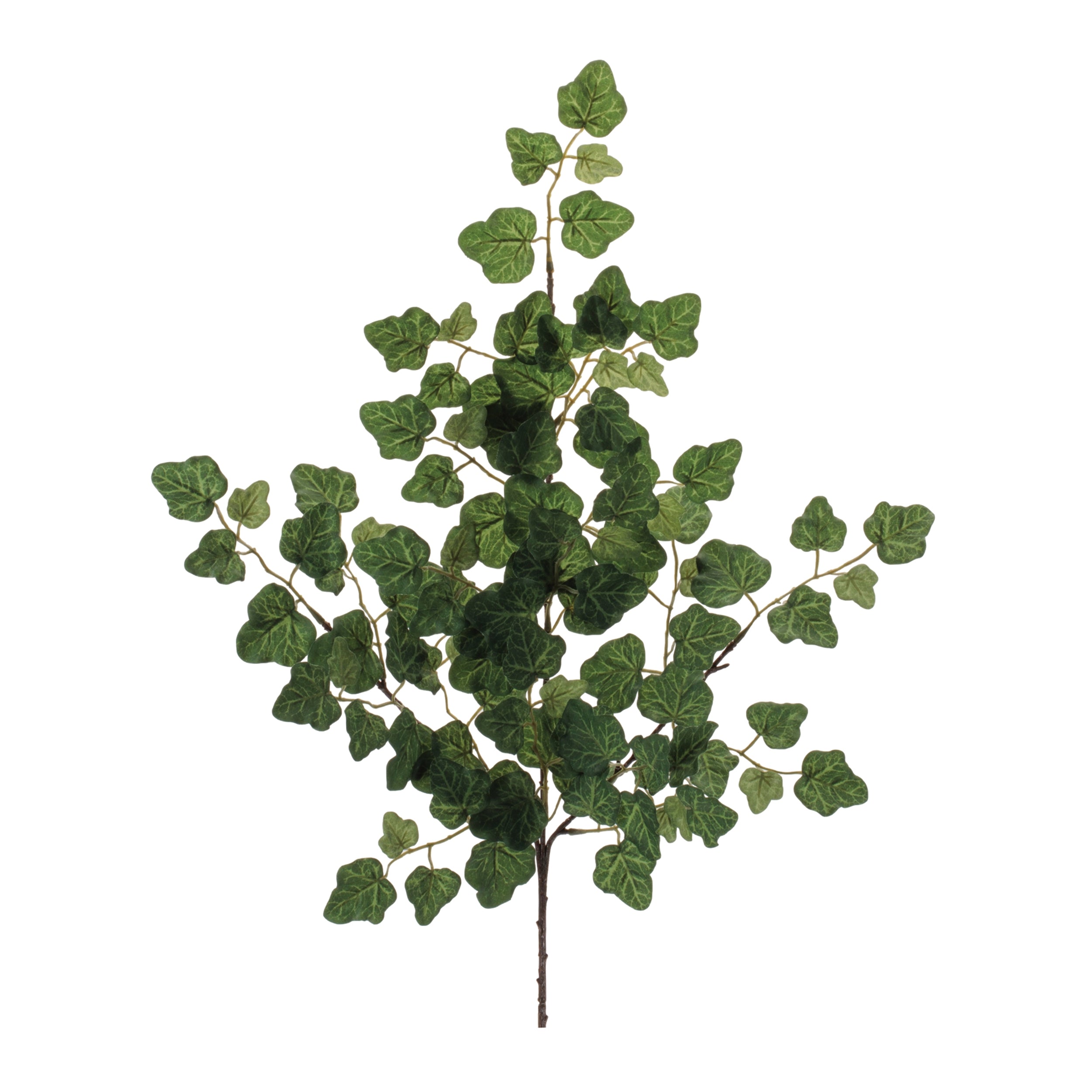 Ivy Spray (Set of 6) 25H Polyester